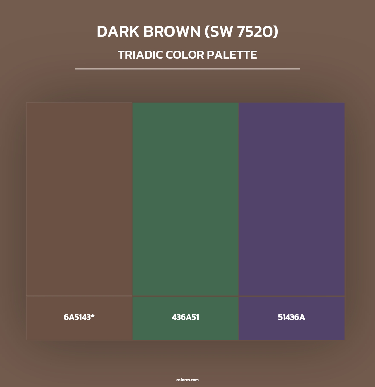 Dark Brown (SW 7520) - Triadic Color Palette