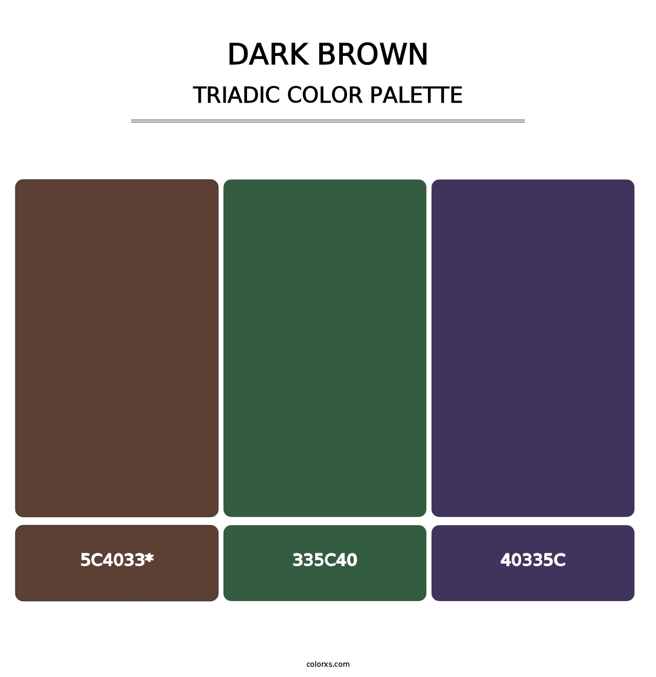 Dark Brown - Triadic Color Palette