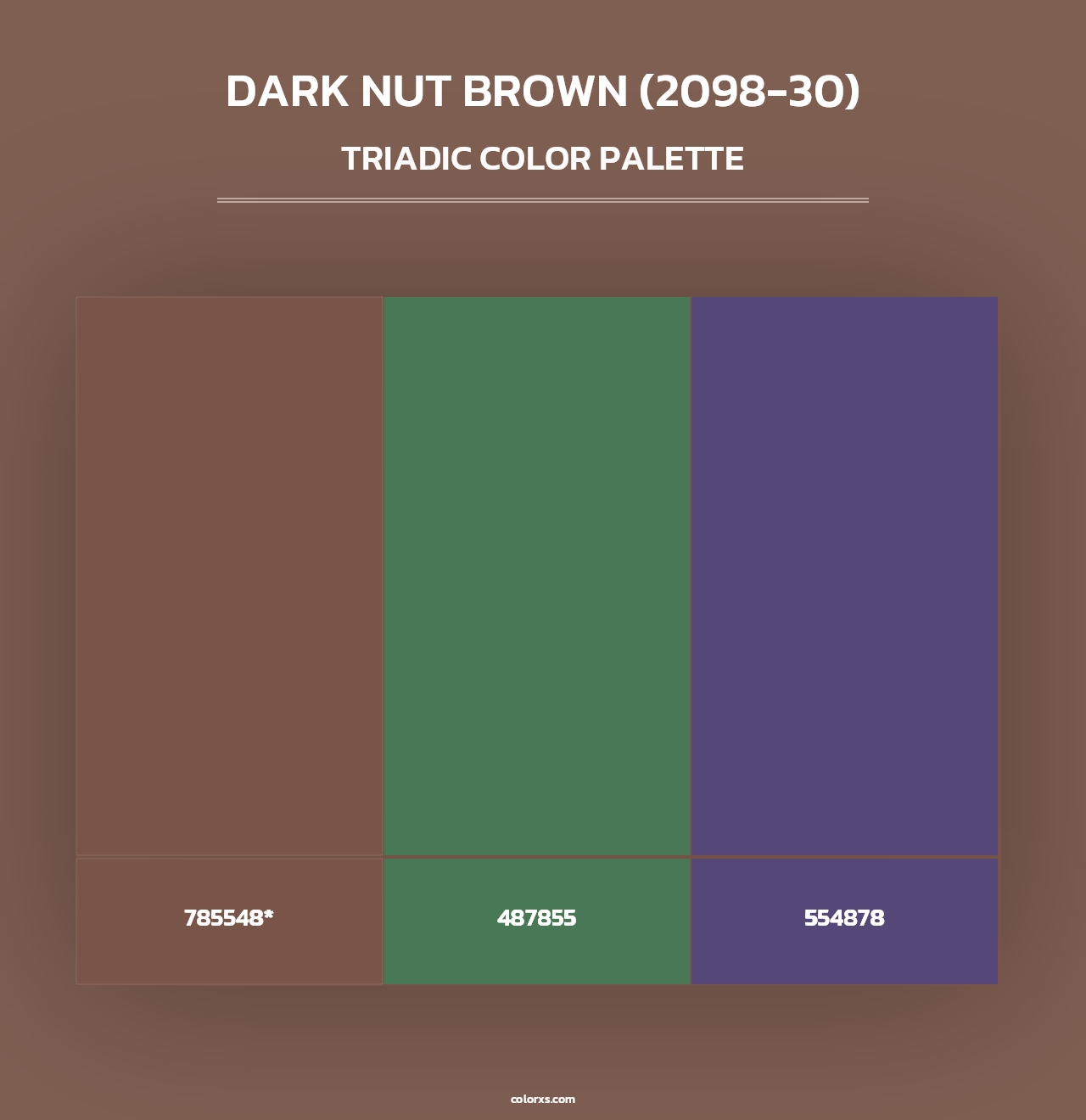 Dark Nut Brown (2098-30) - Triadic Color Palette