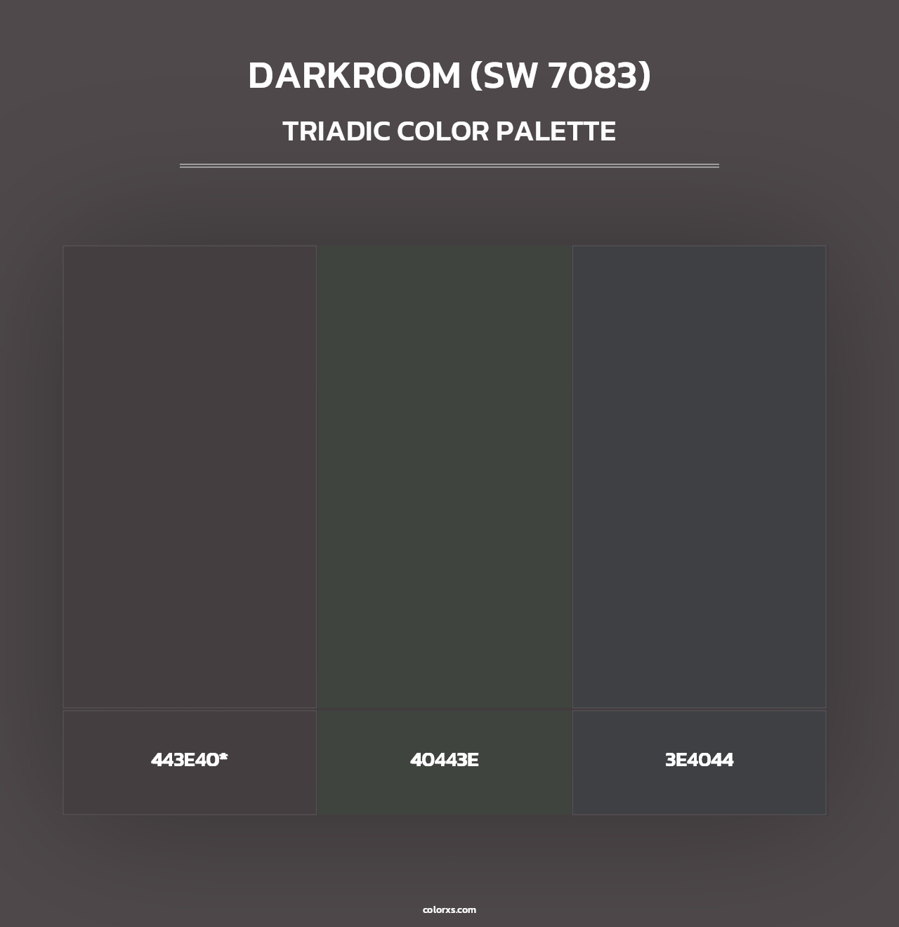 Darkroom (SW 7083) - Triadic Color Palette