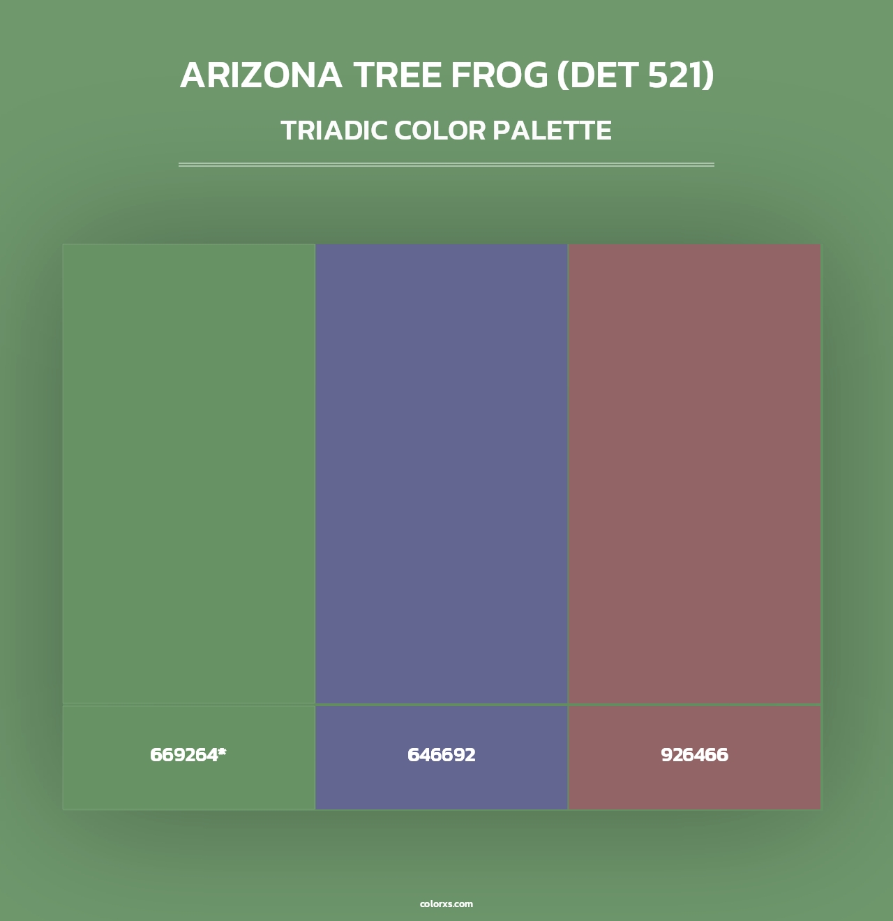Arizona Tree Frog (DET 521) - Triadic Color Palette