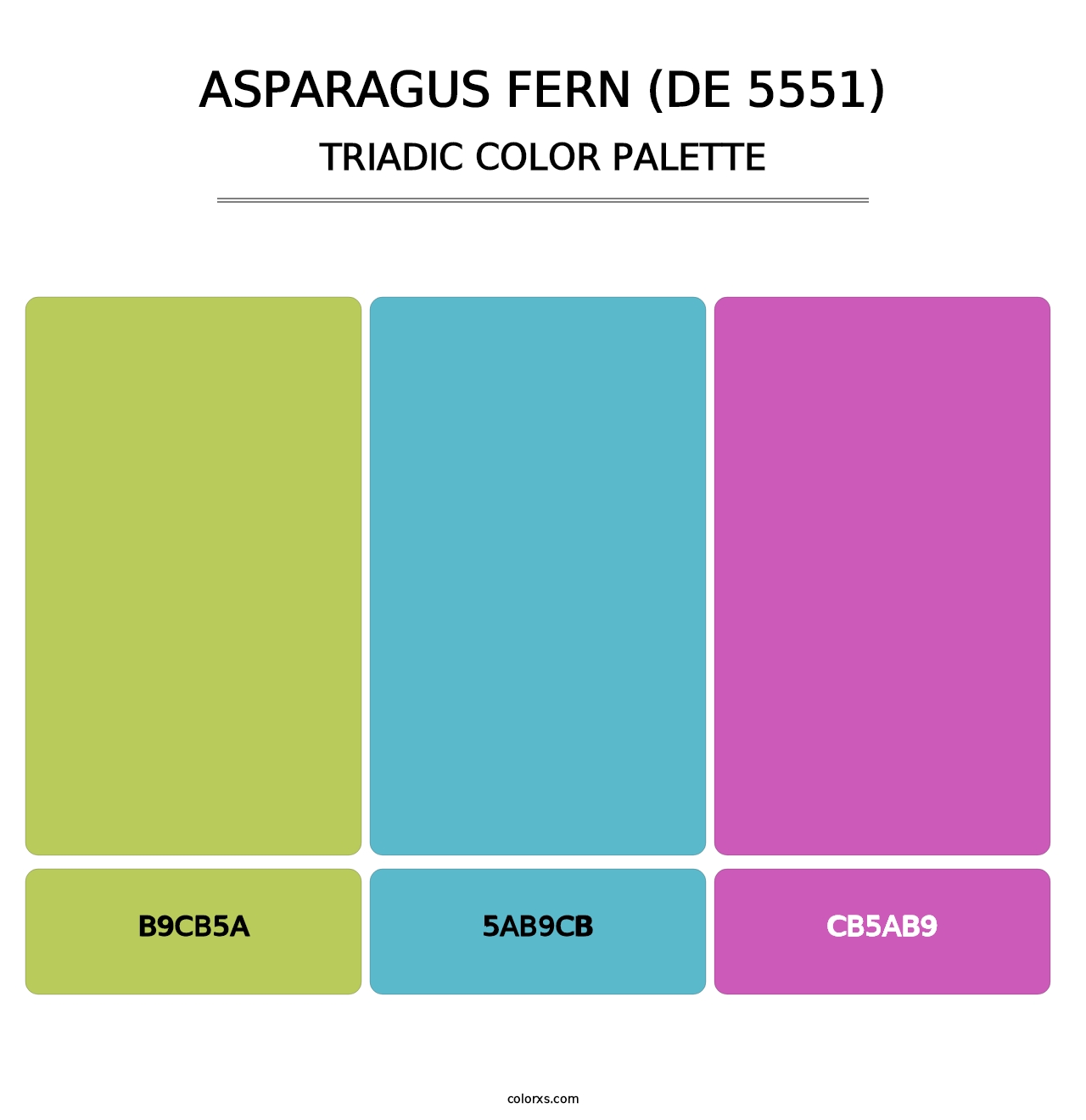 Asparagus Fern (DE 5551) - Triadic Color Palette