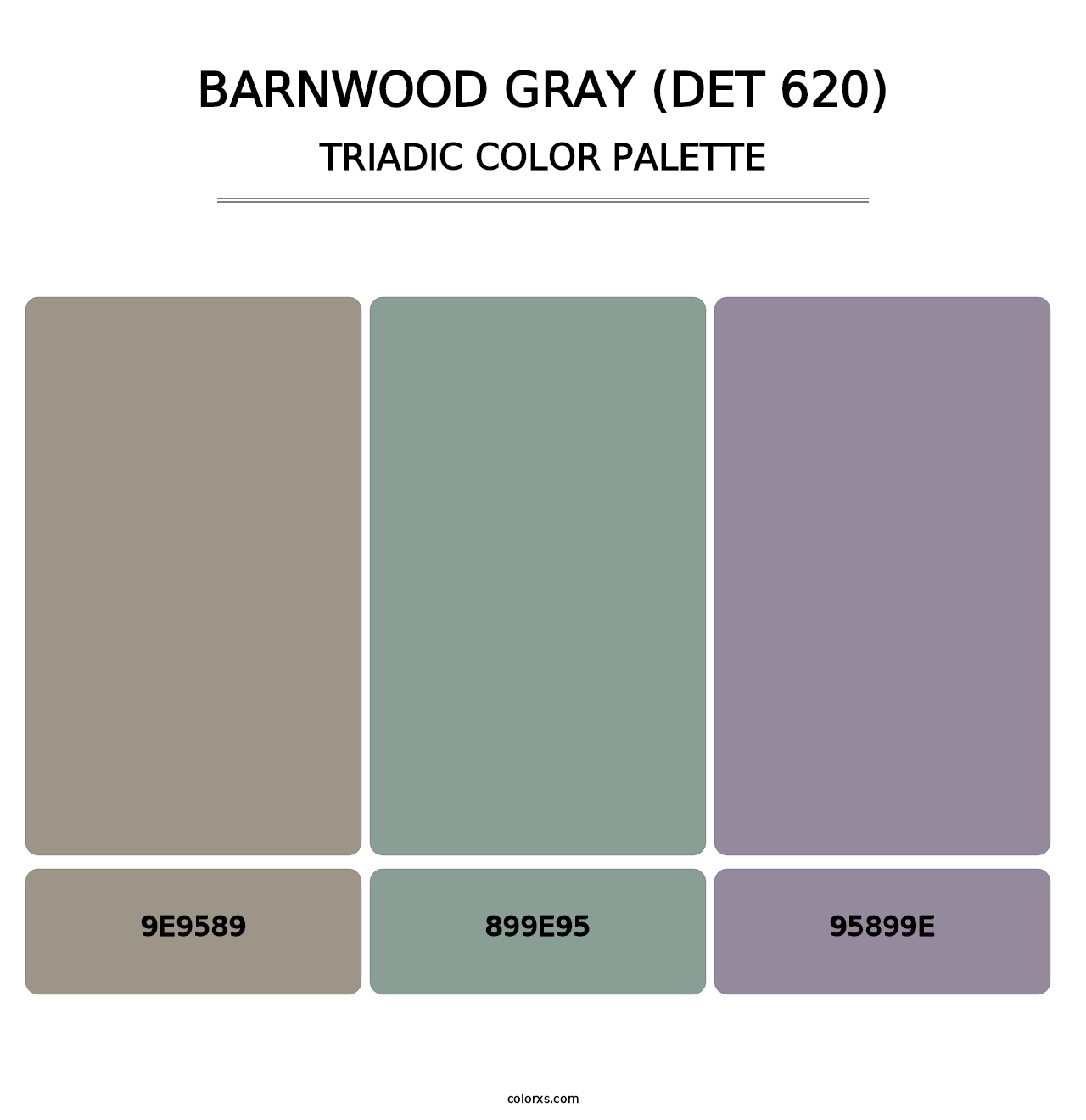 Barnwood Gray (DET 620) - Triadic Color Palette