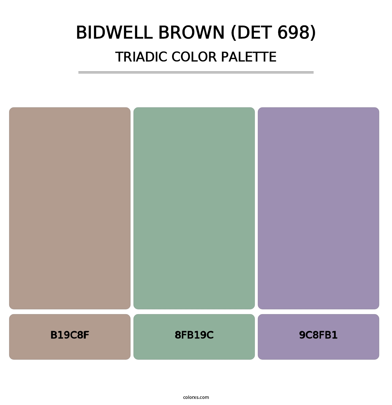 Bidwell Brown (DET 698) - Triadic Color Palette