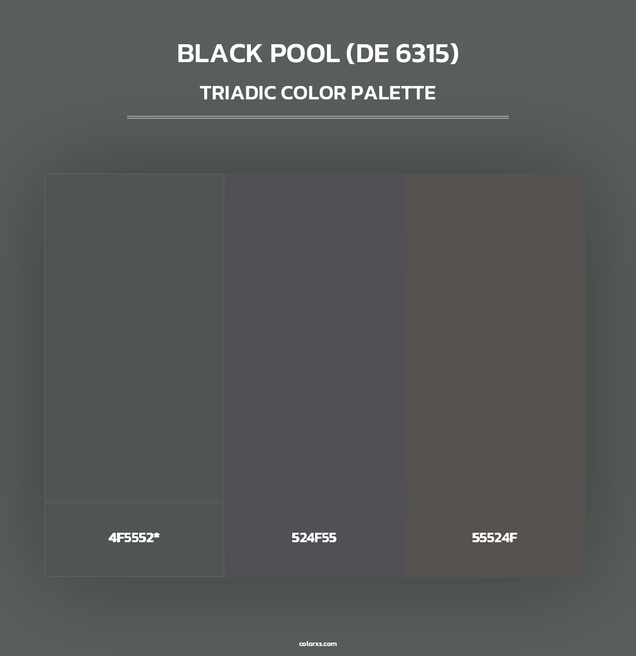 Black Pool (DE 6315) - Triadic Color Palette