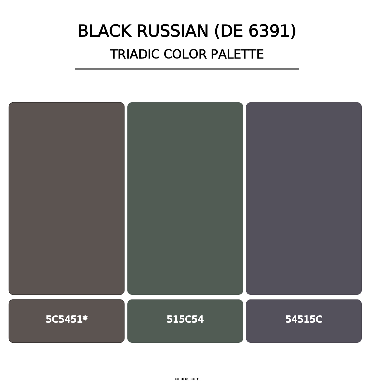 Black Russian (DE 6391) - Triadic Color Palette