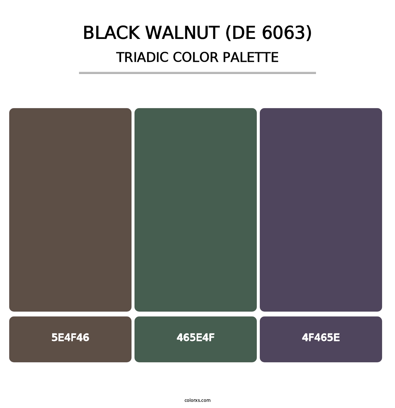 Black Walnut (DE 6063) - Triadic Color Palette