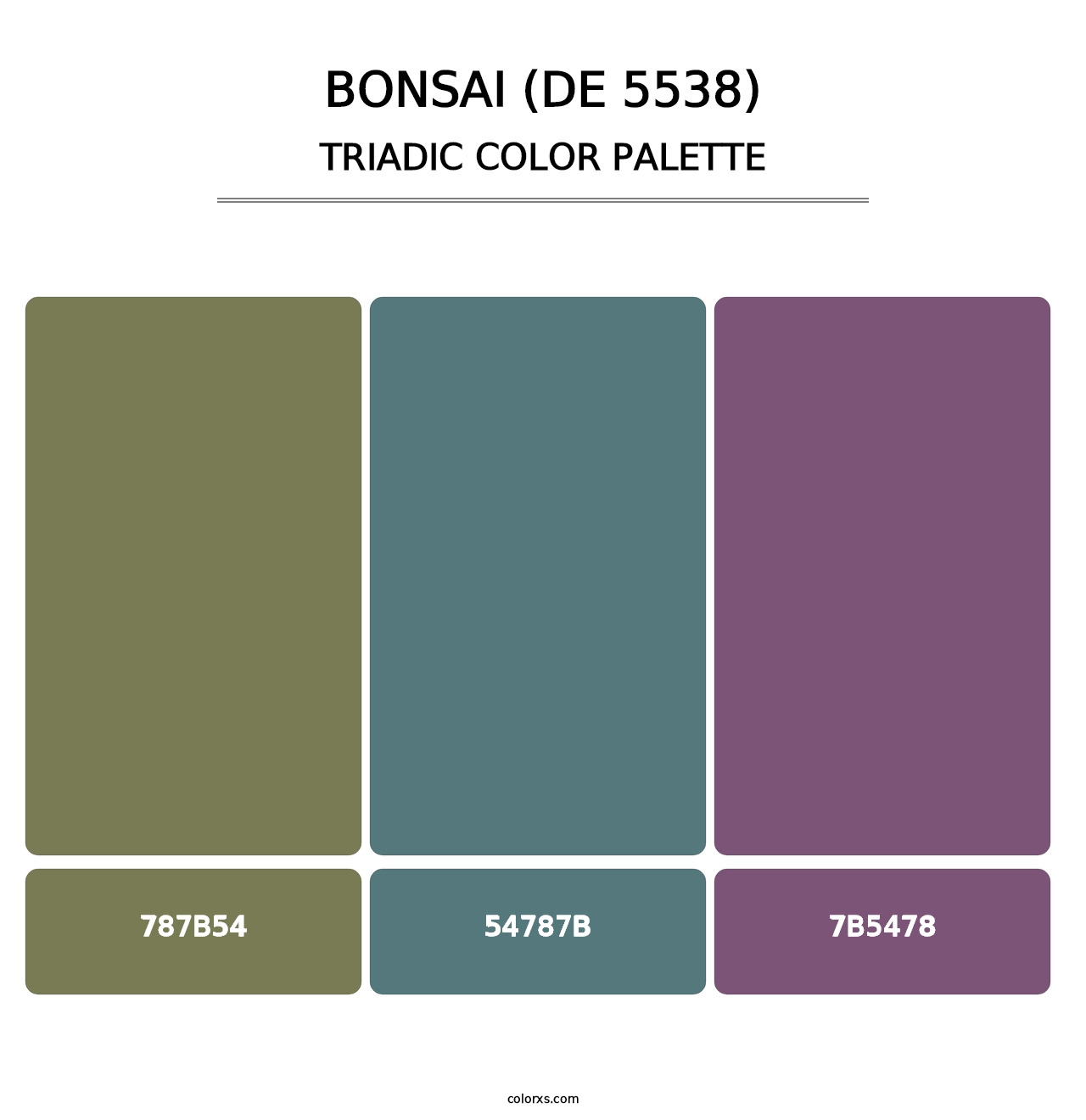Bonsai (DE 5538) - Triadic Color Palette