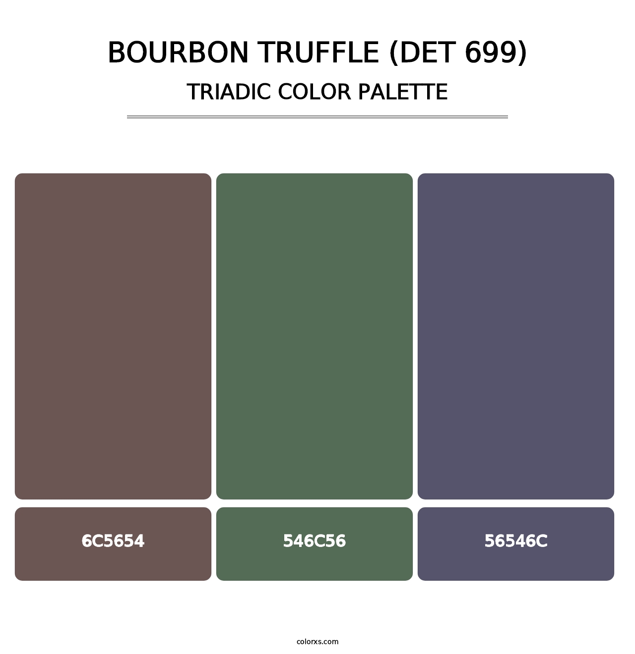 Bourbon Truffle (DET 699) - Triadic Color Palette