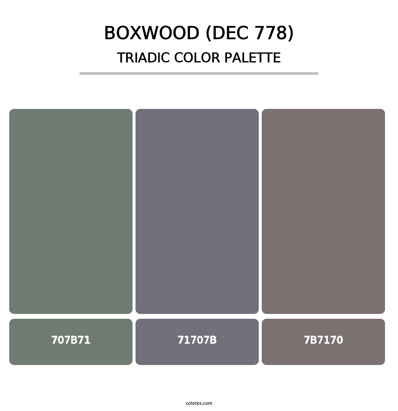 Boxwood (DEC 778) - Triadic Color Palette