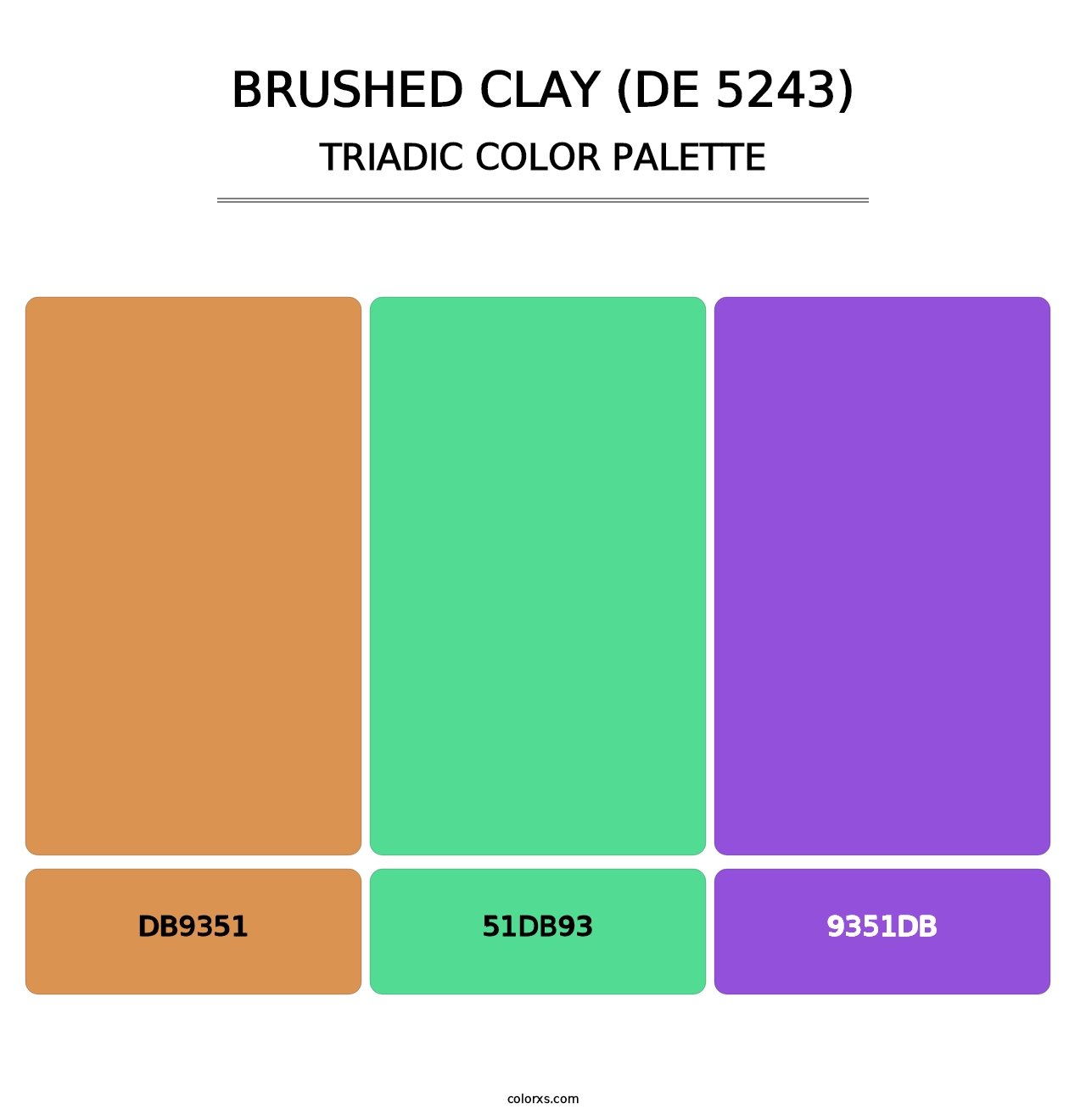 Brushed Clay (DE 5243) - Triadic Color Palette