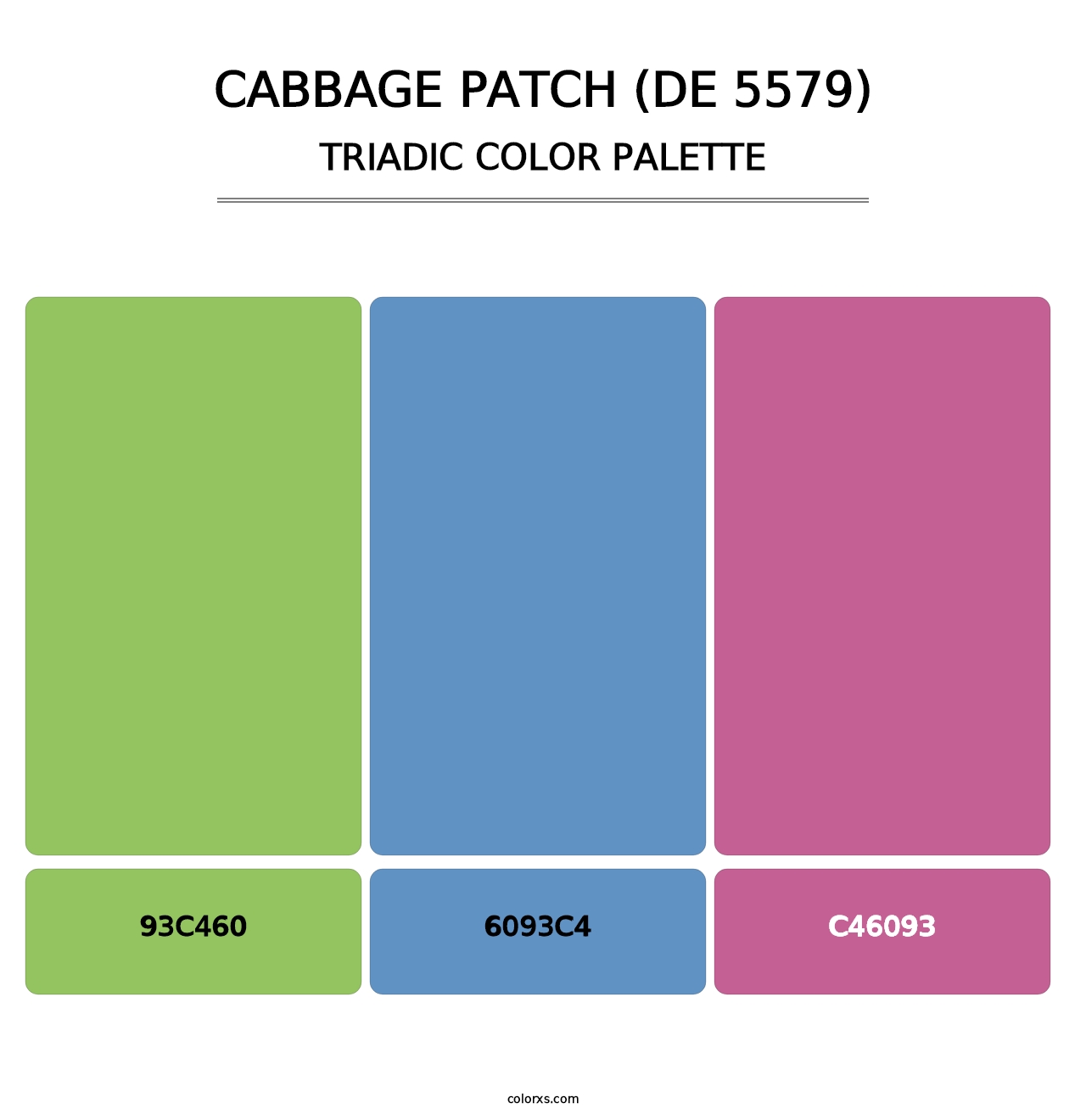 Cabbage Patch (DE 5579) - Triadic Color Palette