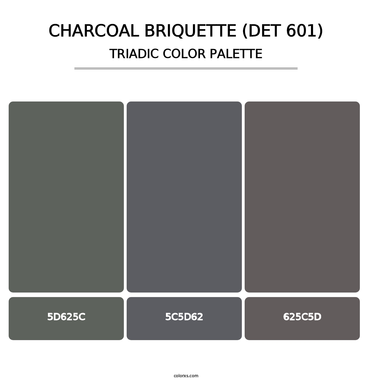 Charcoal Briquette (DET 601) - Triadic Color Palette