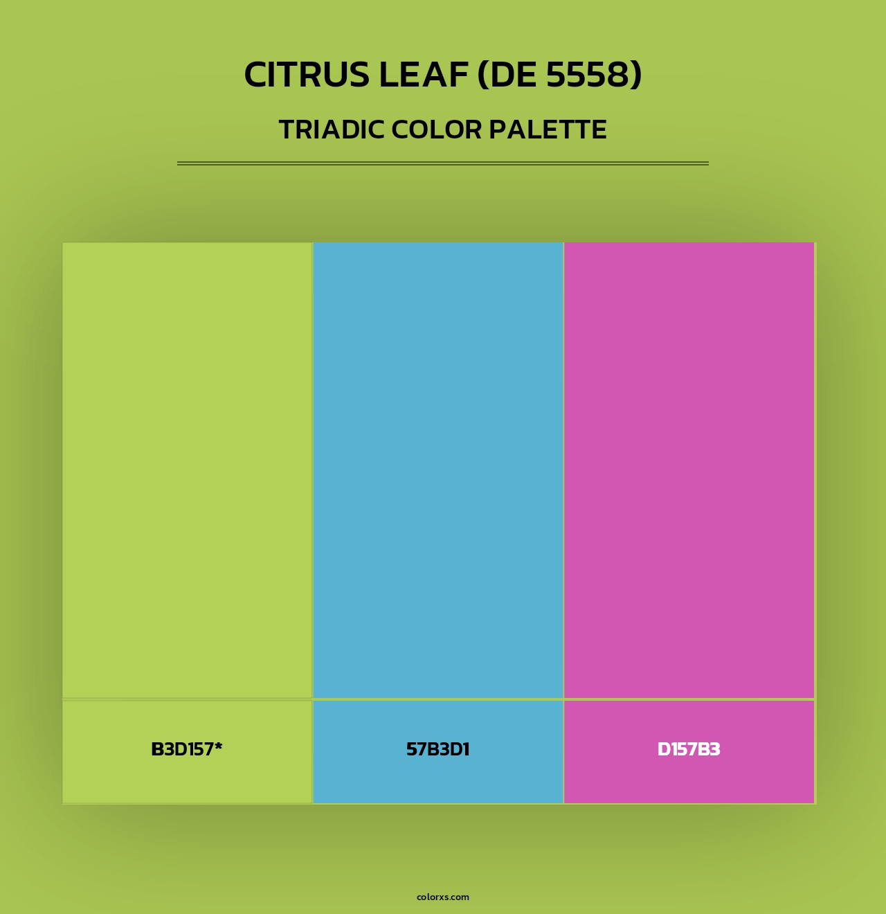 Citrus Leaf (DE 5558) - Triadic Color Palette