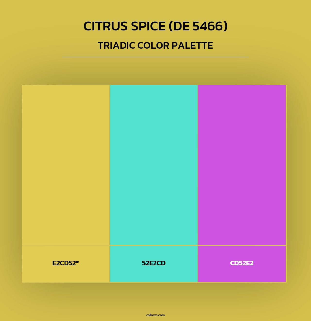 Citrus Spice (DE 5466) - Triadic Color Palette