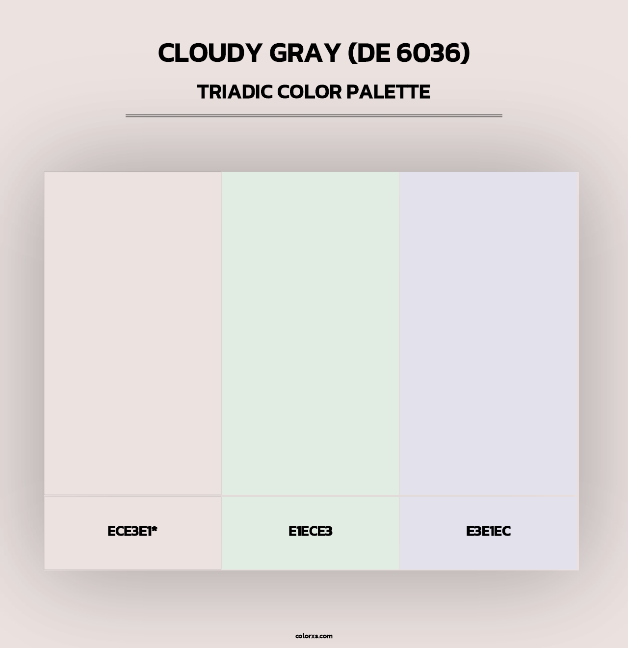 Cloudy Gray (DE 6036) - Triadic Color Palette