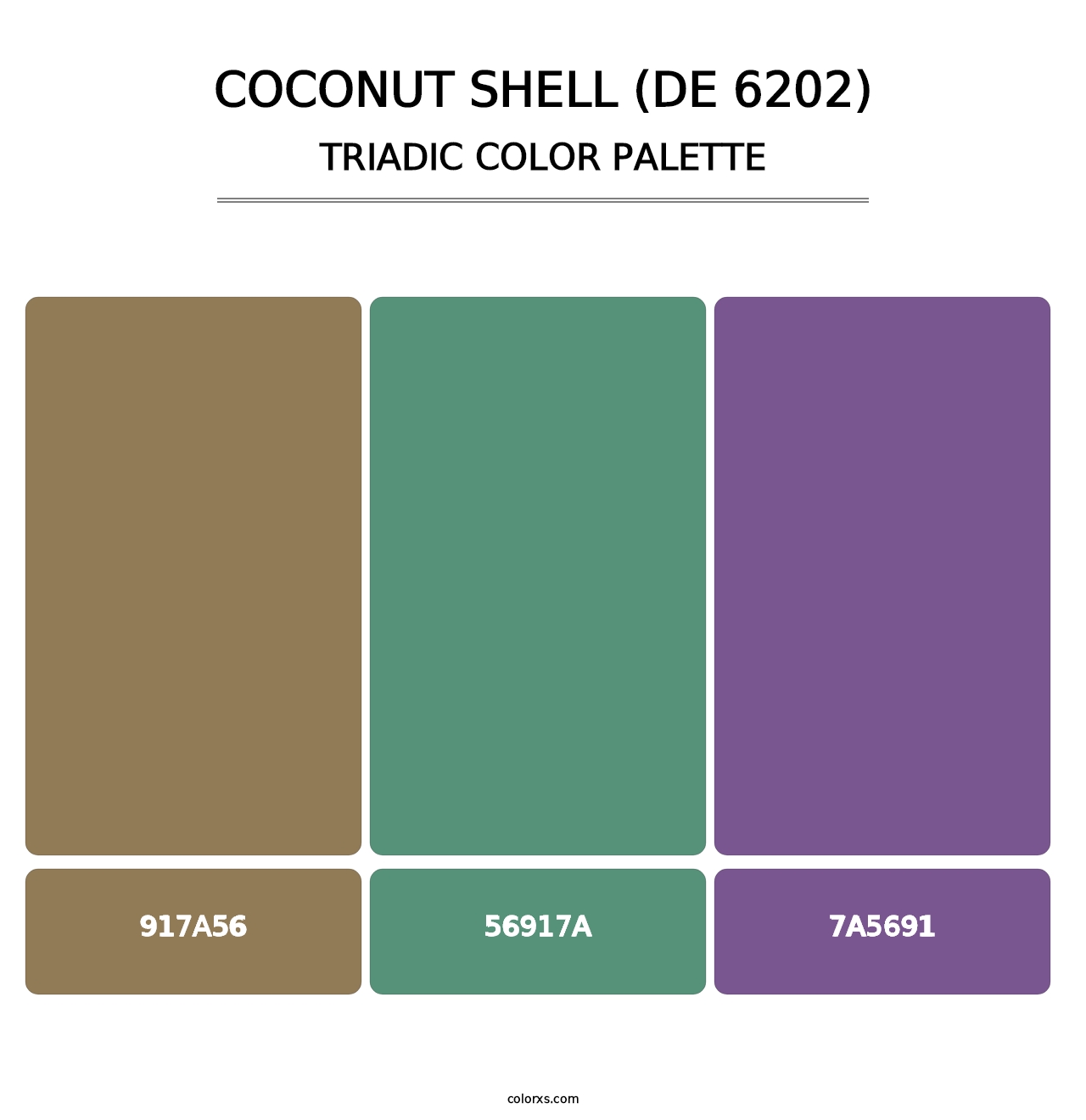 Coconut Shell (DE 6202) - Triadic Color Palette