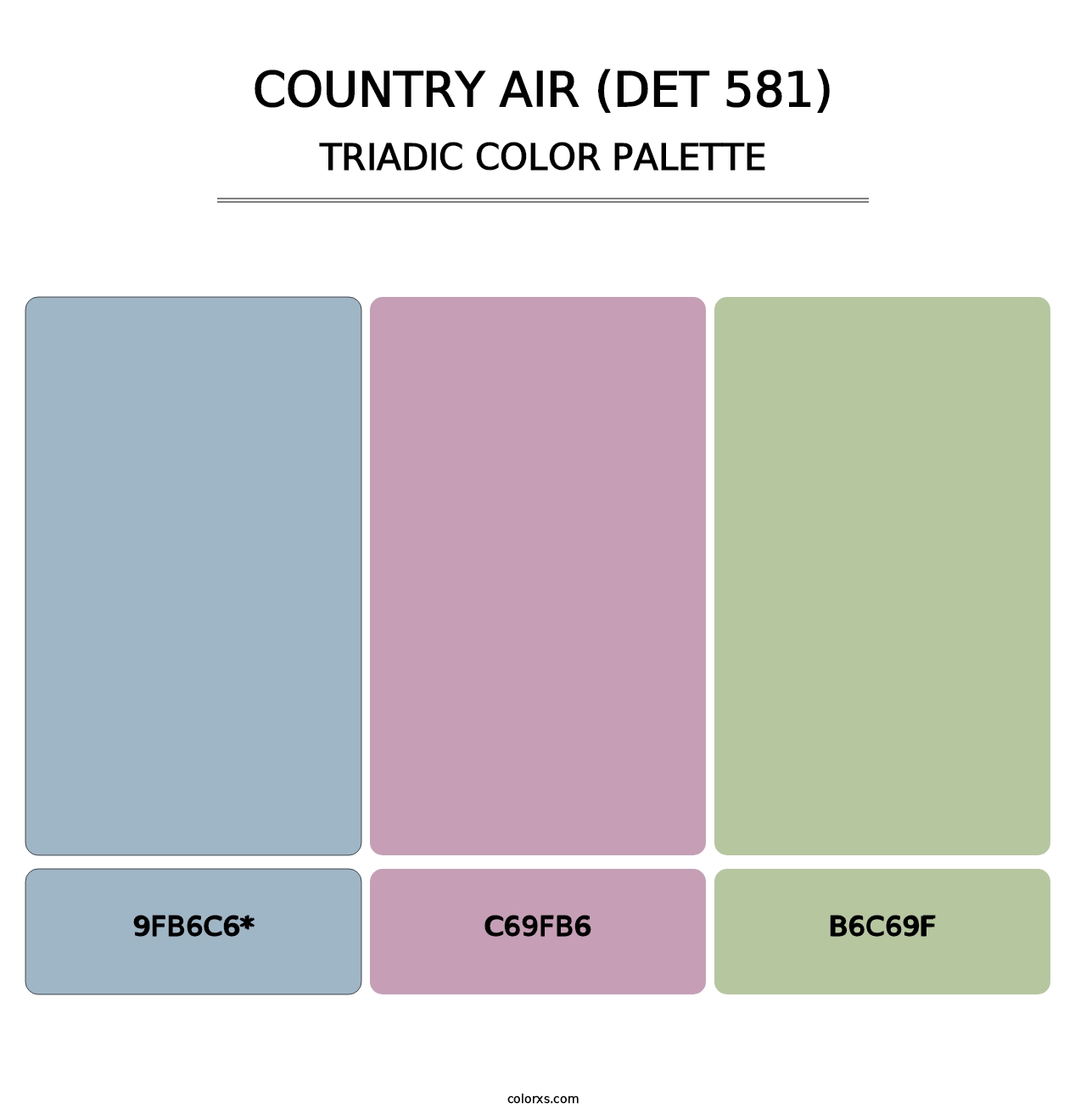 Country Air (DET 581) - Triadic Color Palette