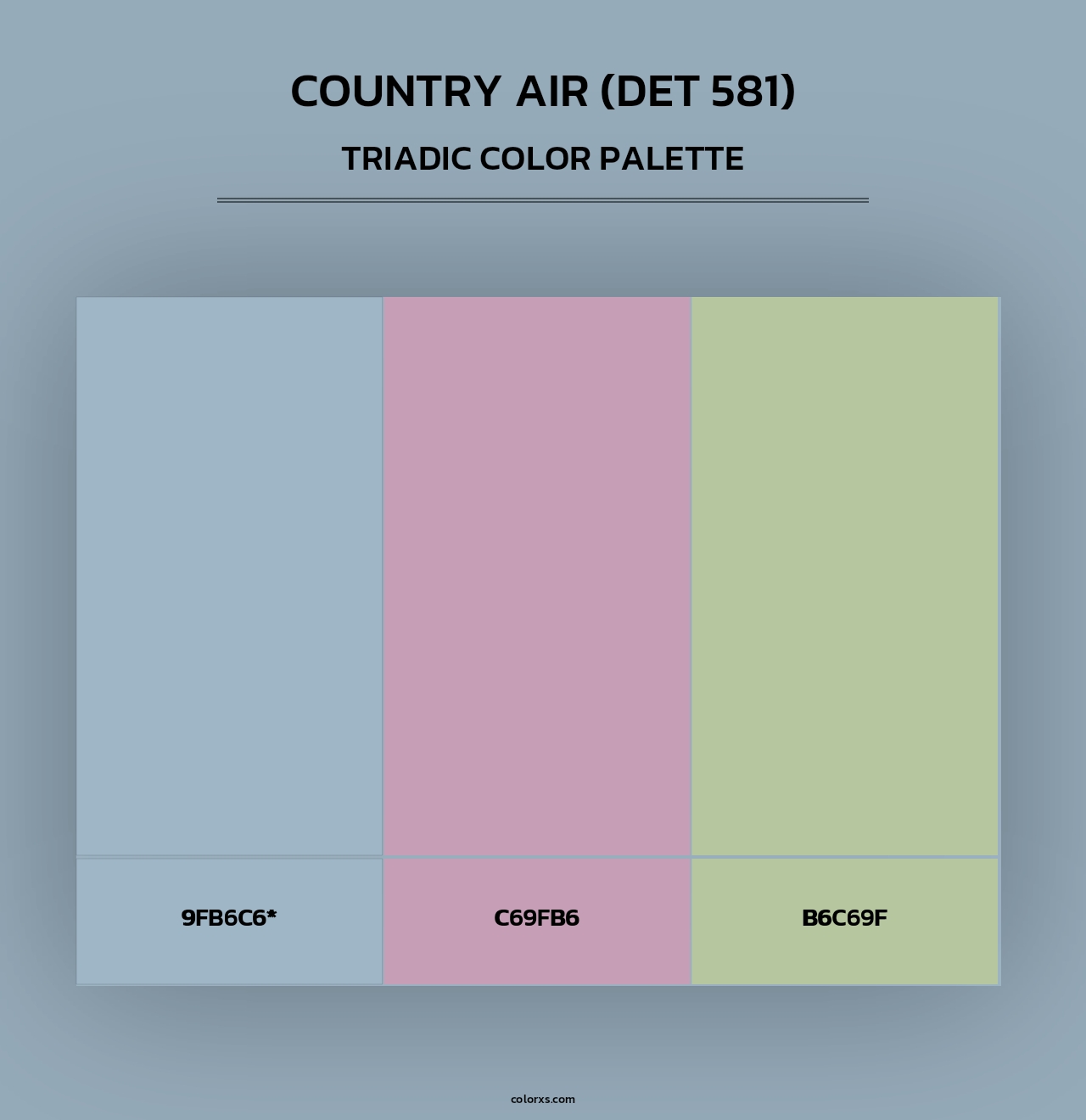 Country Air (DET 581) - Triadic Color Palette