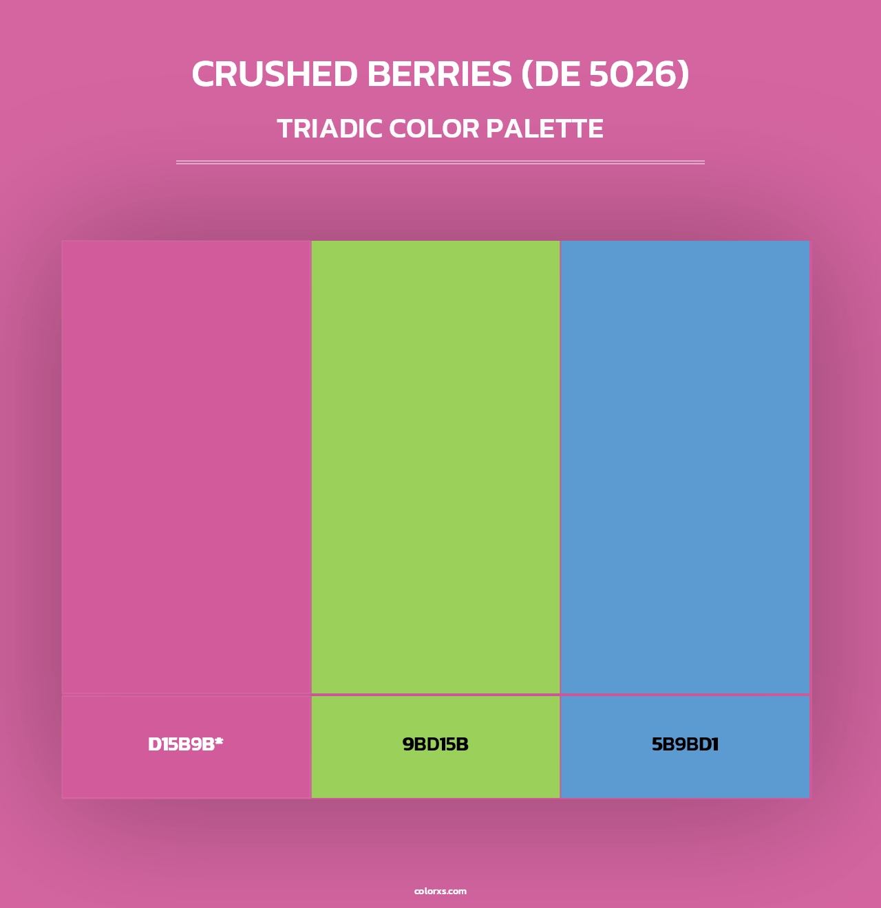 Crushed Berries (DE 5026) - Triadic Color Palette