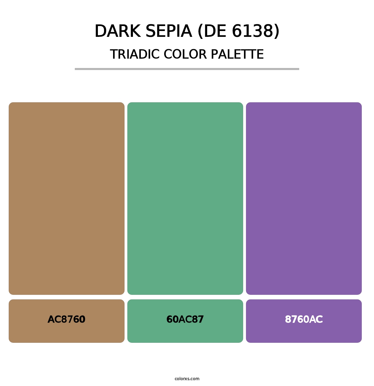 Dark Sepia (DE 6138) - Triadic Color Palette