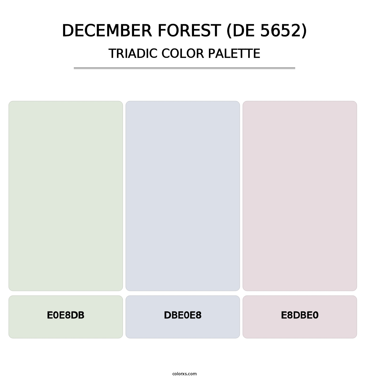 December Forest (DE 5652) - Triadic Color Palette