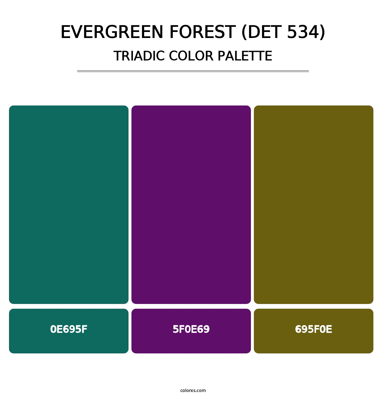 Evergreen Forest (DET 534) - Triadic Color Palette