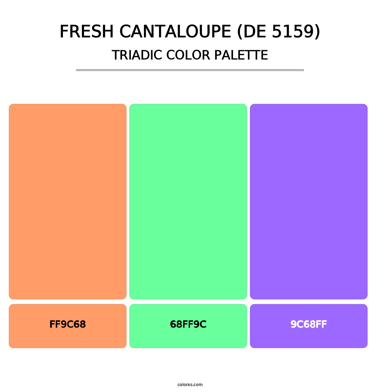 Fresh Cantaloupe (DE 5159) - Triadic Color Palette
