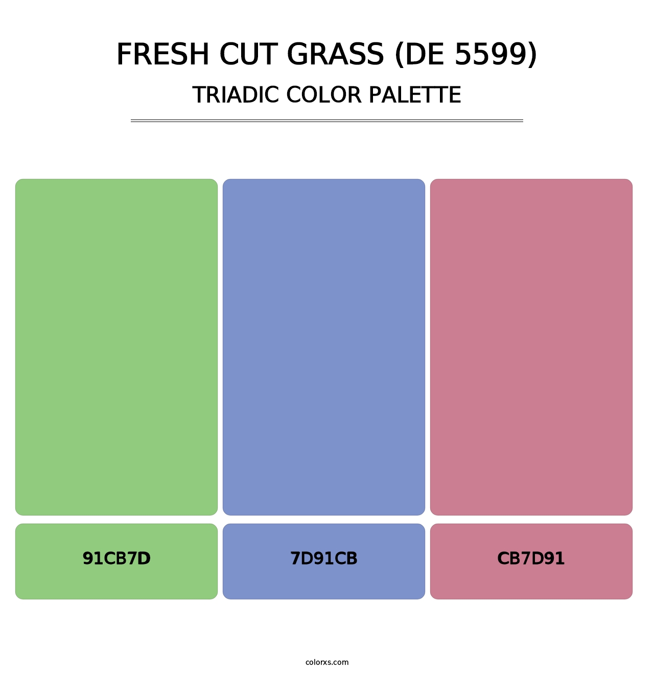 Fresh Cut Grass (DE 5599) - Triadic Color Palette