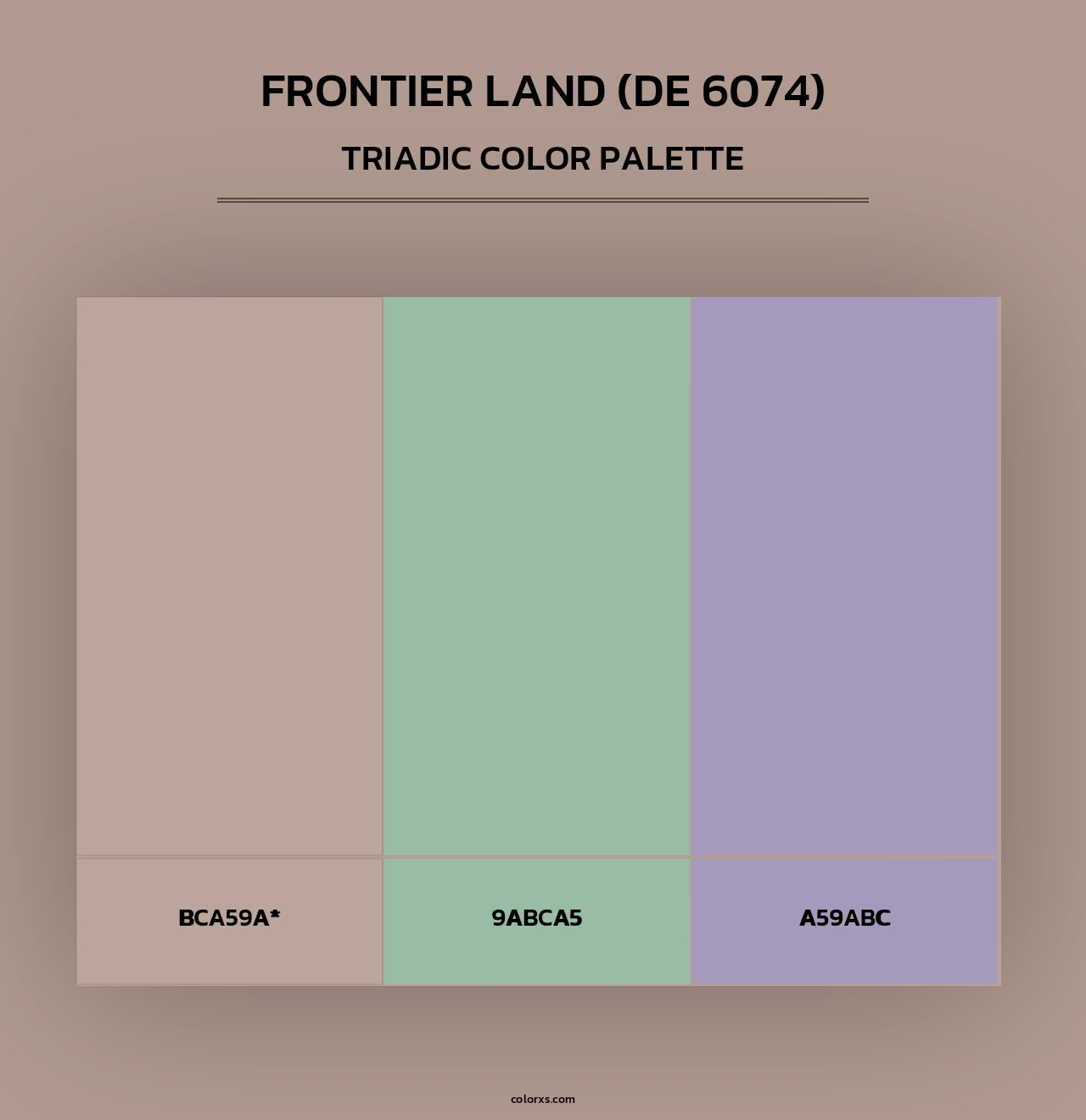 Frontier Land (DE 6074) - Triadic Color Palette