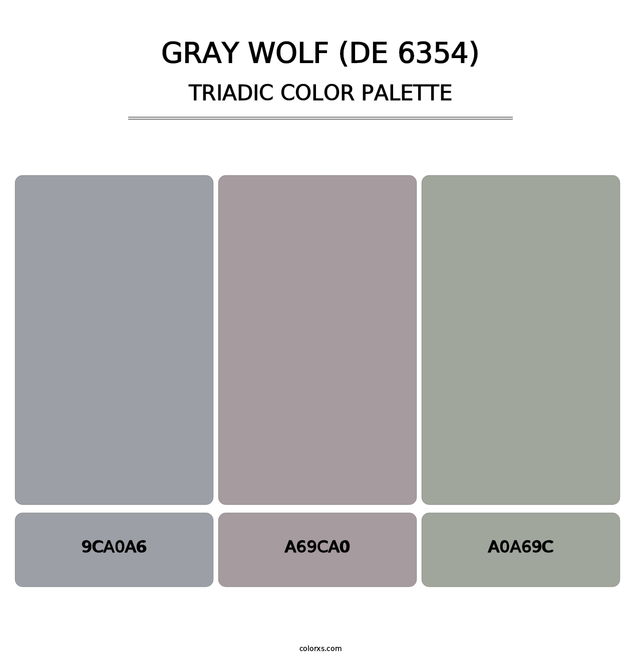 Gray Wolf (DE 6354) - Triadic Color Palette