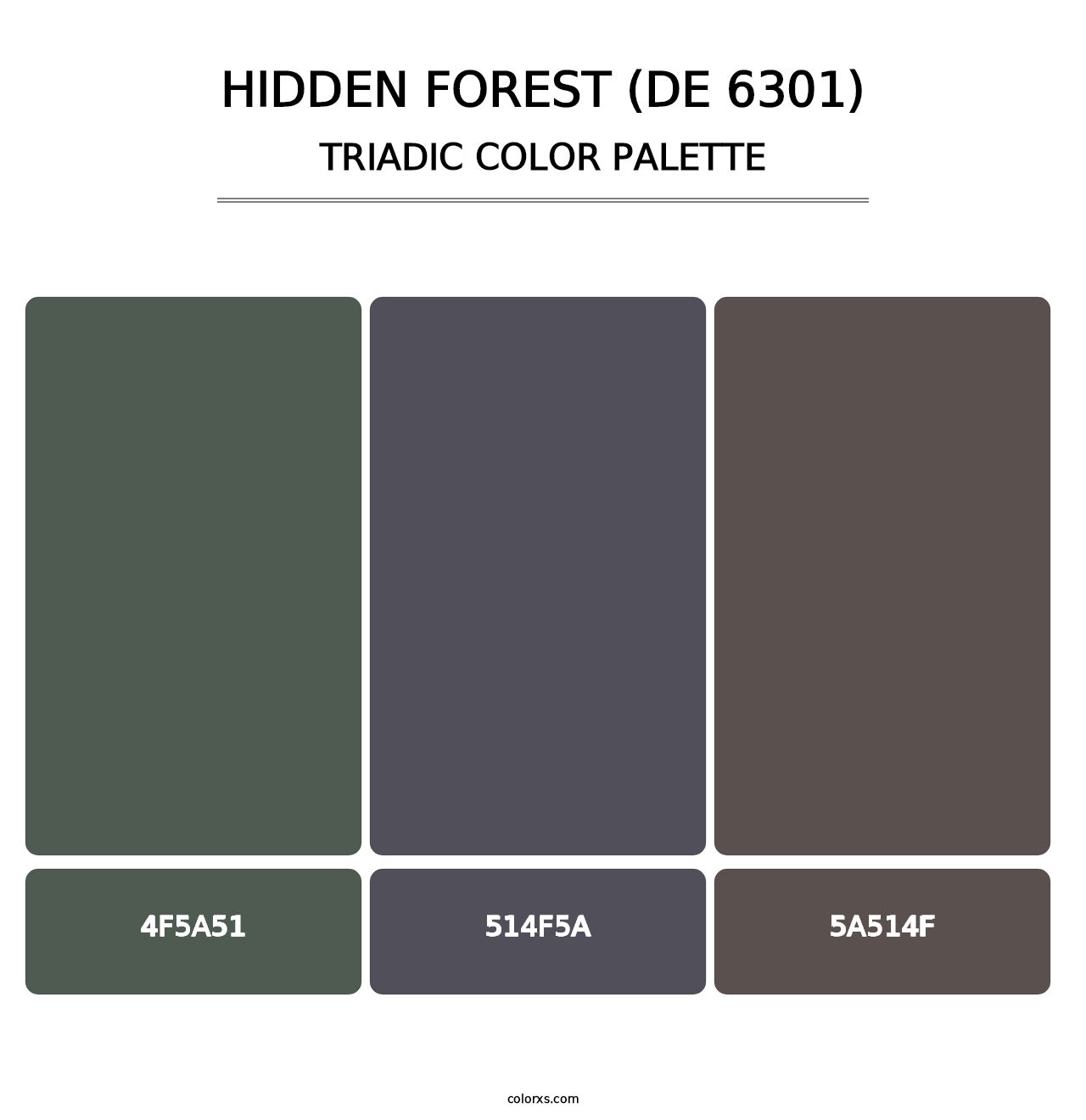 Hidden Forest (DE 6301) - Triadic Color Palette