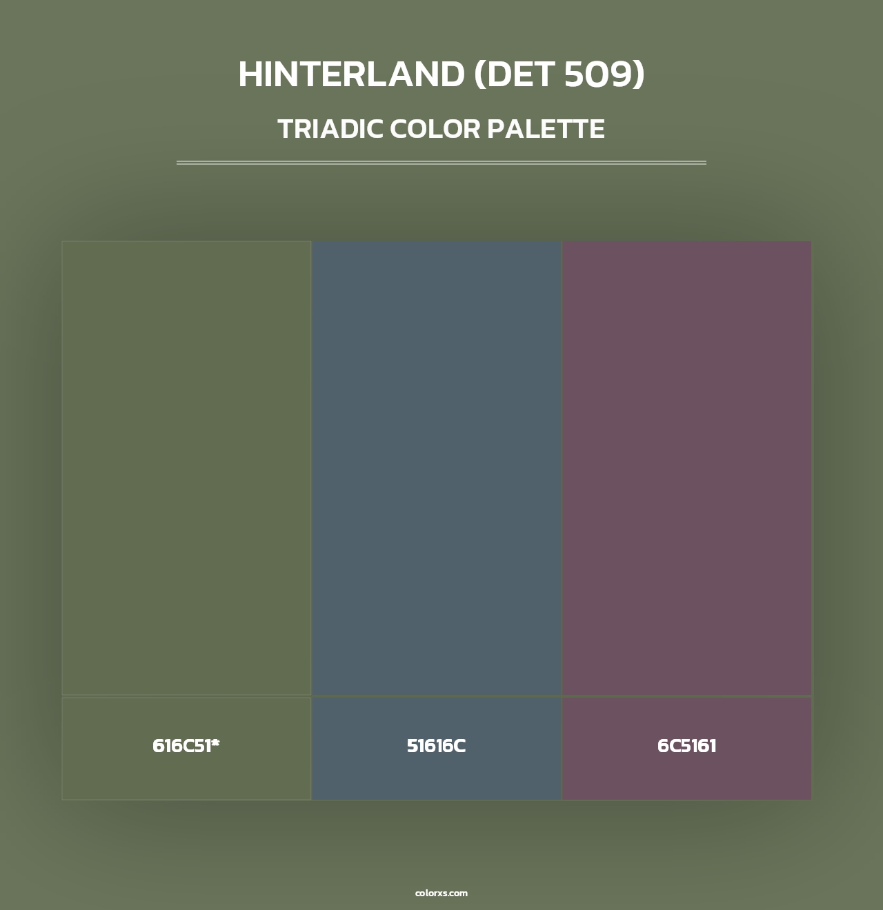 Hinterland (DET 509) - Triadic Color Palette