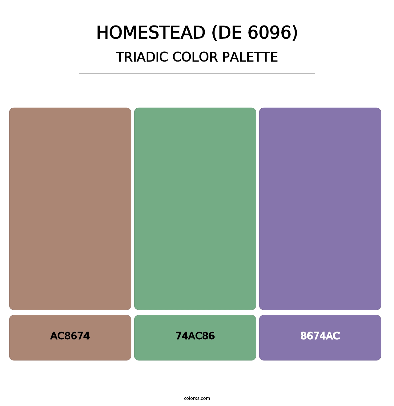 Homestead (DE 6096) - Triadic Color Palette