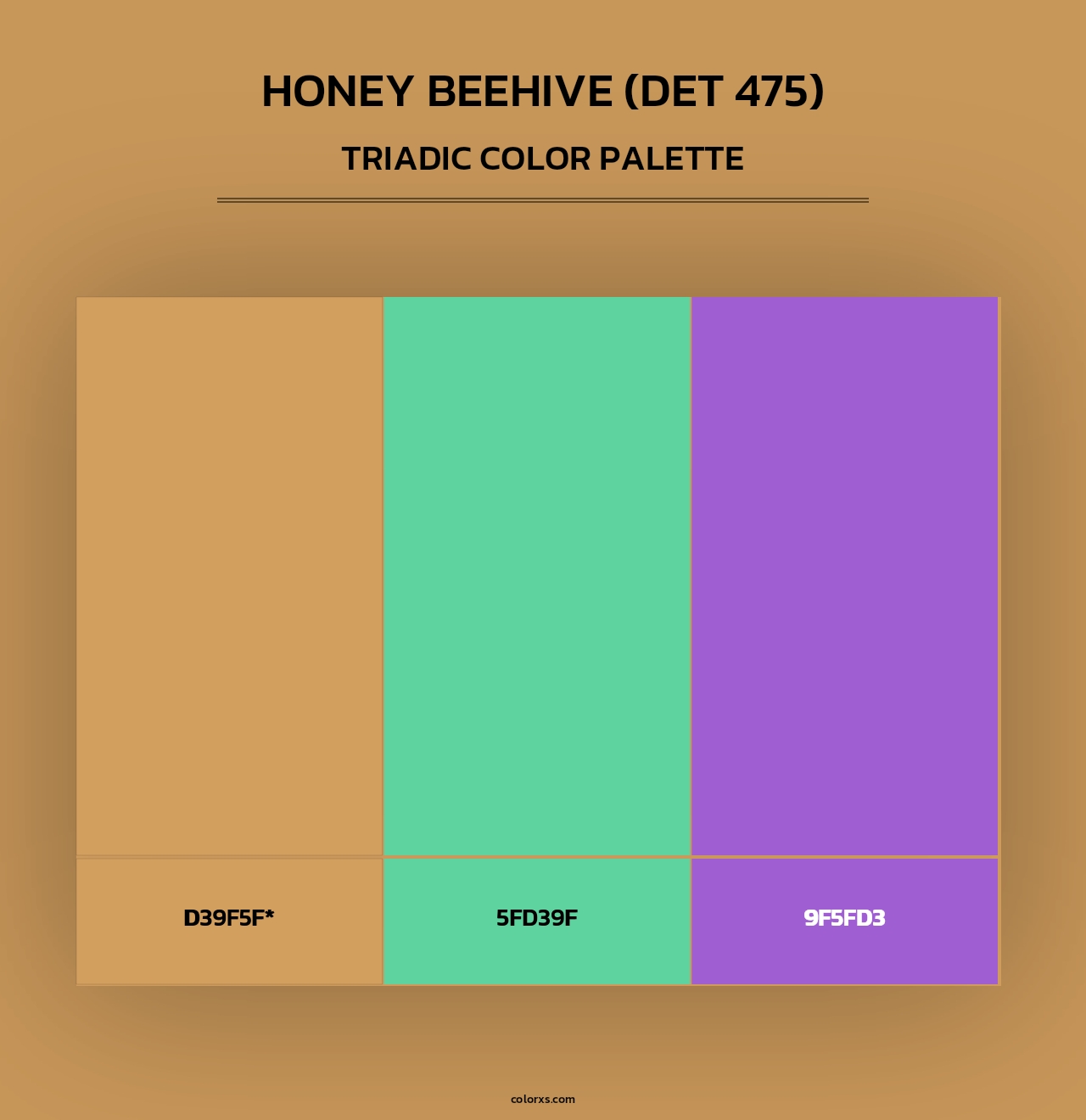 Honey Beehive (DET 475) - Triadic Color Palette