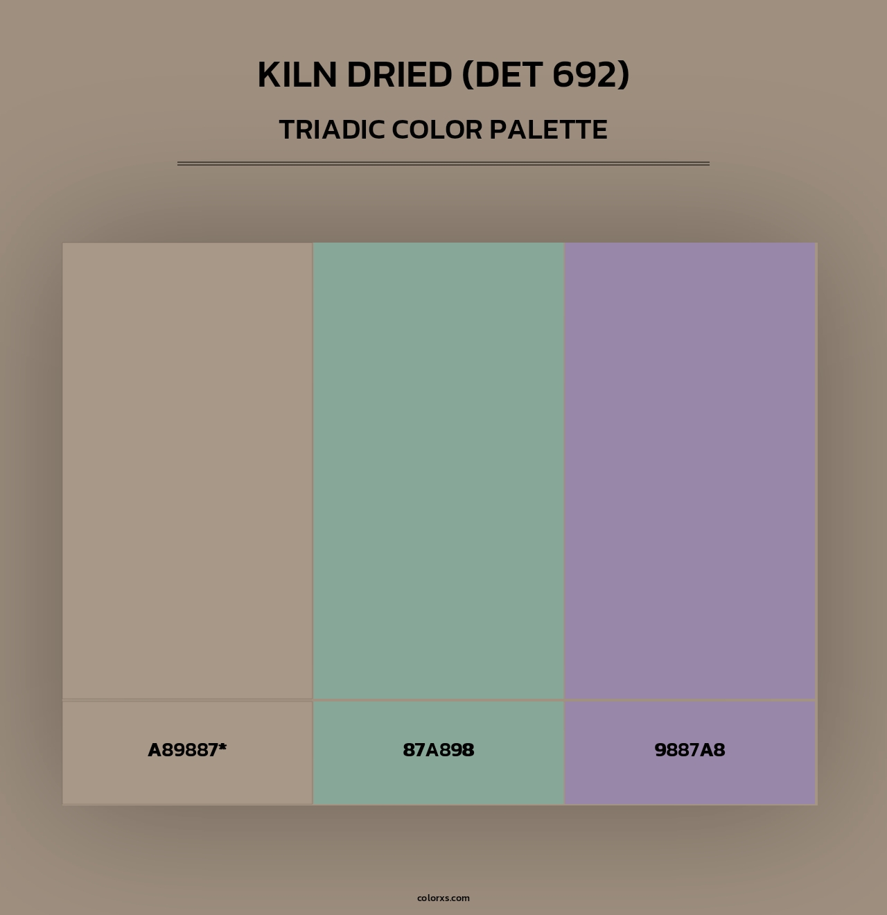 Kiln Dried (DET 692) - Triadic Color Palette