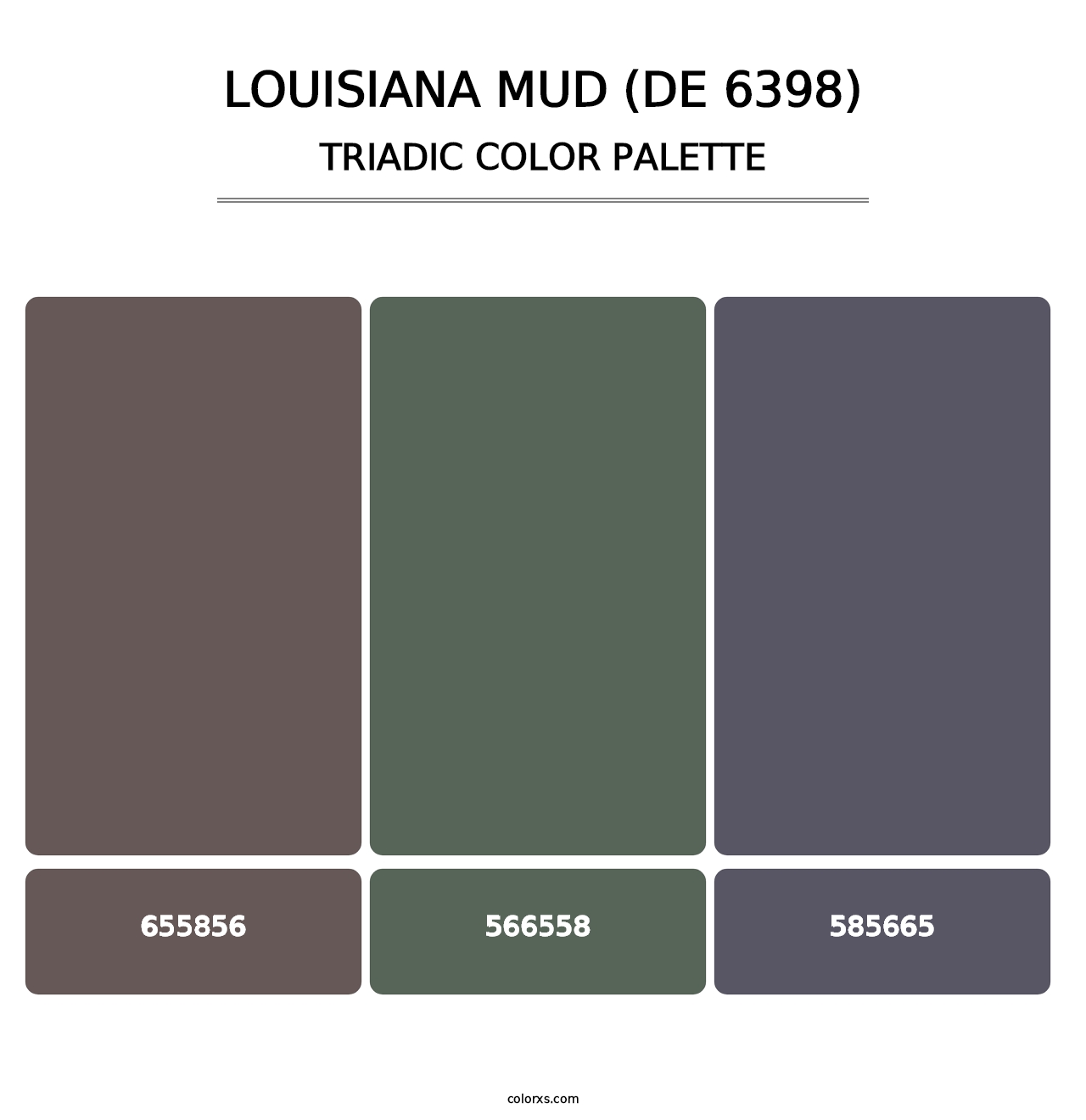 Louisiana Mud (DE 6398) - Triadic Color Palette