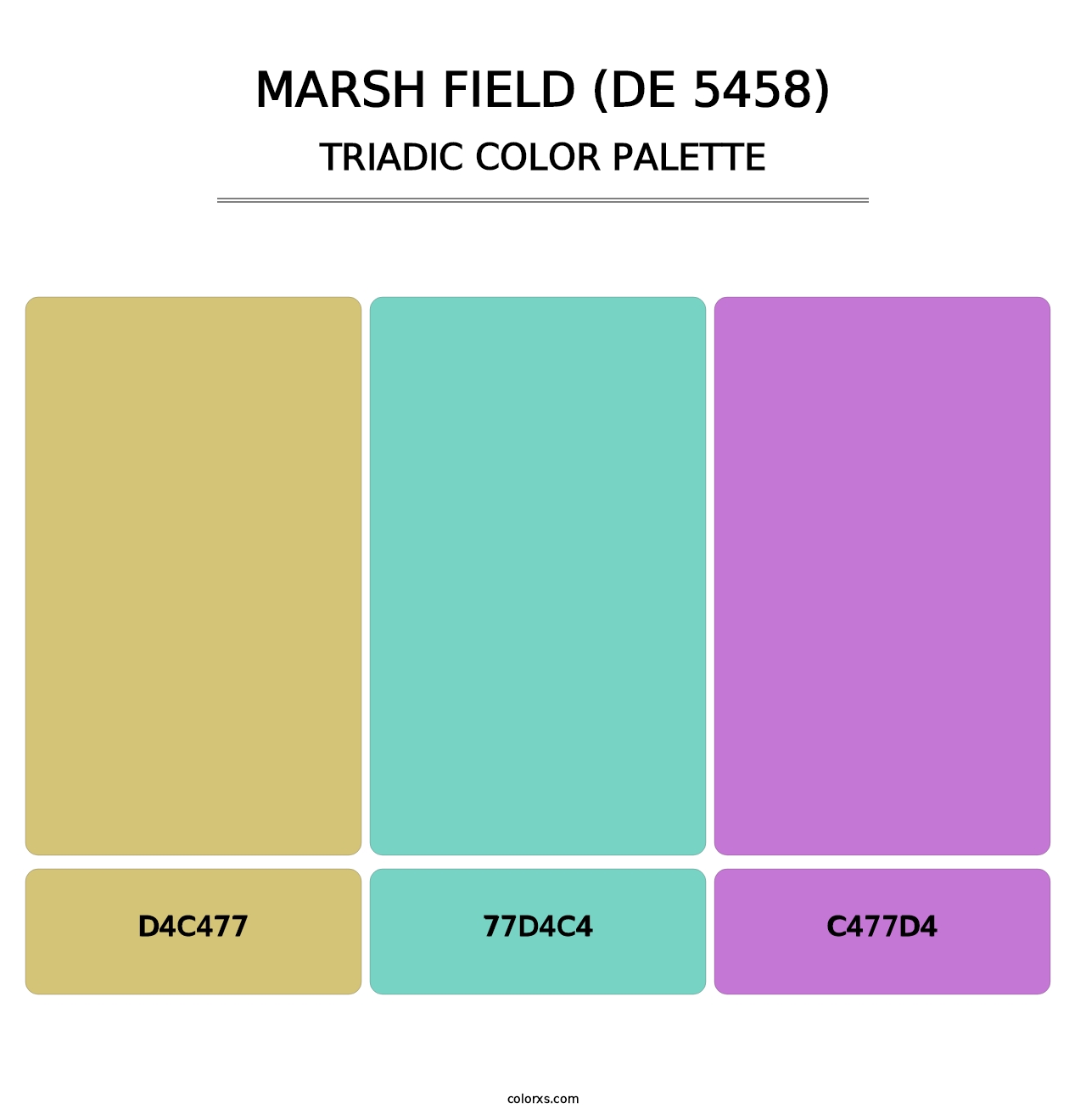 Marsh Field (DE 5458) - Triadic Color Palette