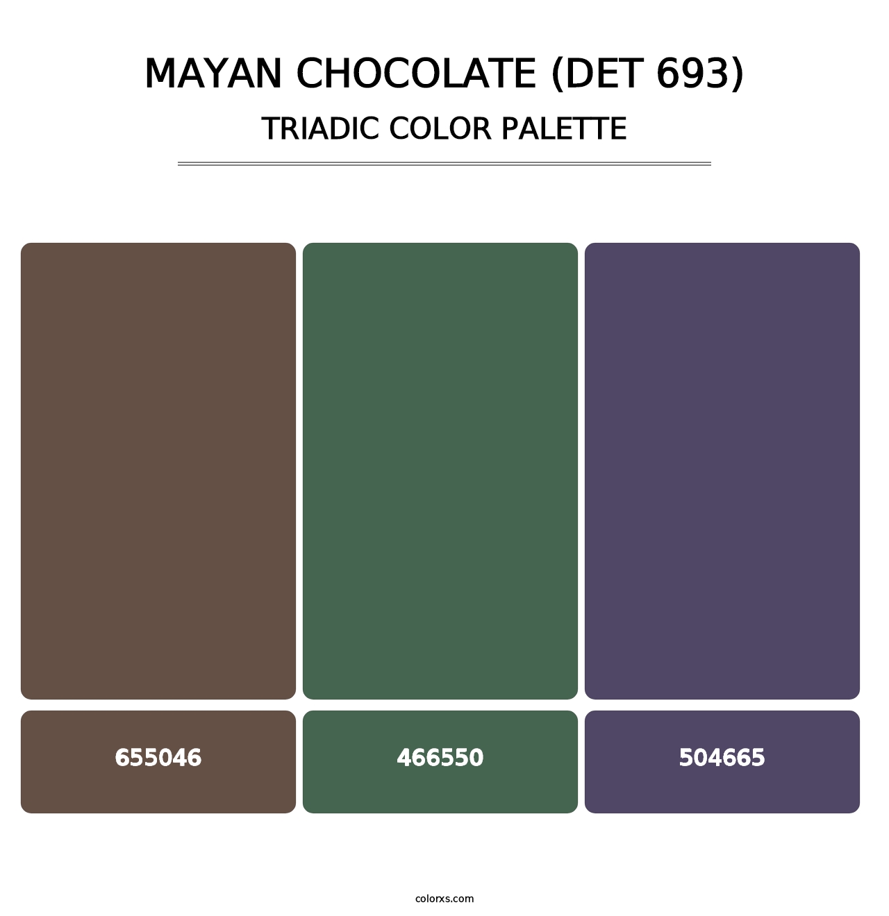 Mayan Chocolate (DET 693) - Triadic Color Palette