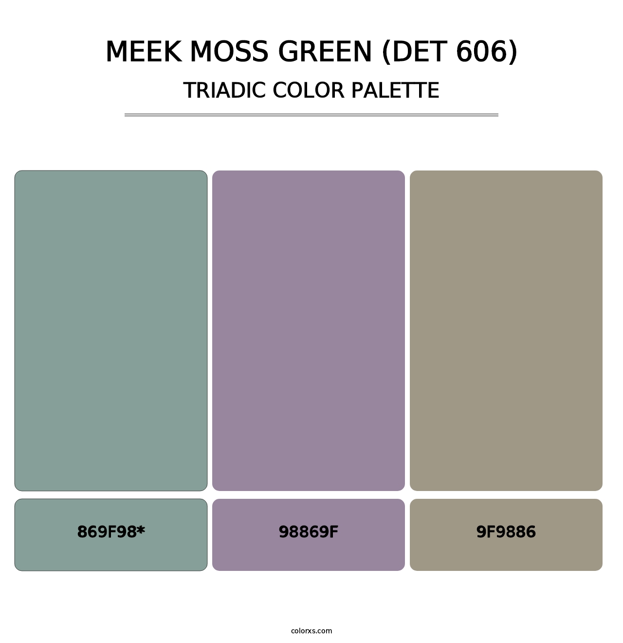 Meek Moss Green (DET 606) - Triadic Color Palette