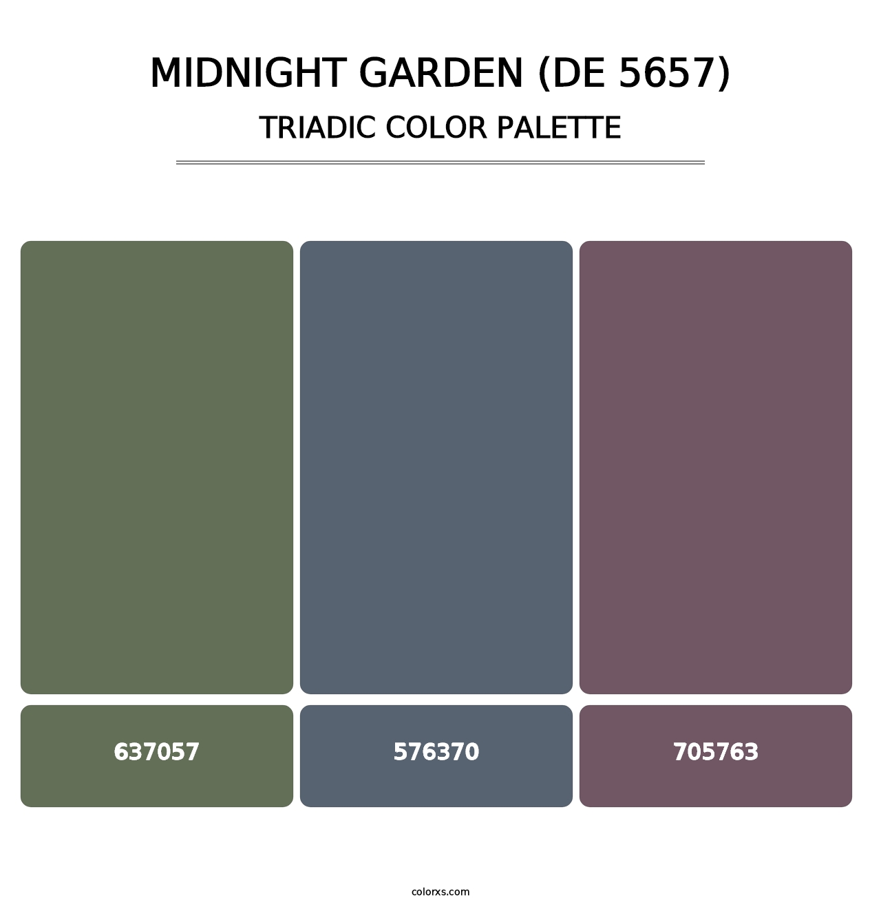 Midnight Garden (DE 5657) - Triadic Color Palette