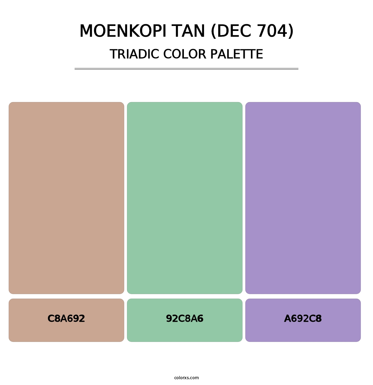 Moenkopi Tan (DEC 704) - Triadic Color Palette