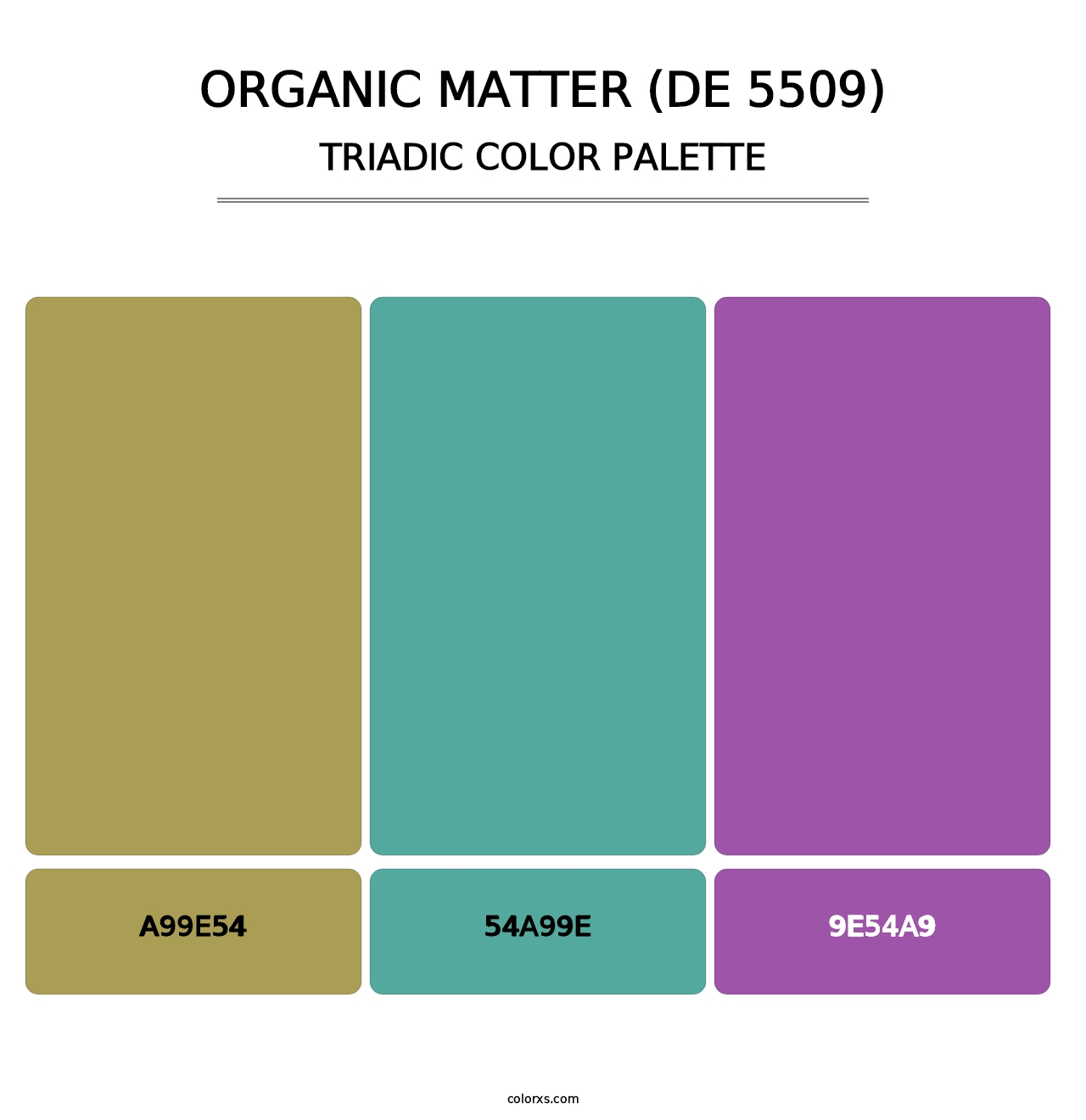 Organic Matter (DE 5509) - Triadic Color Palette