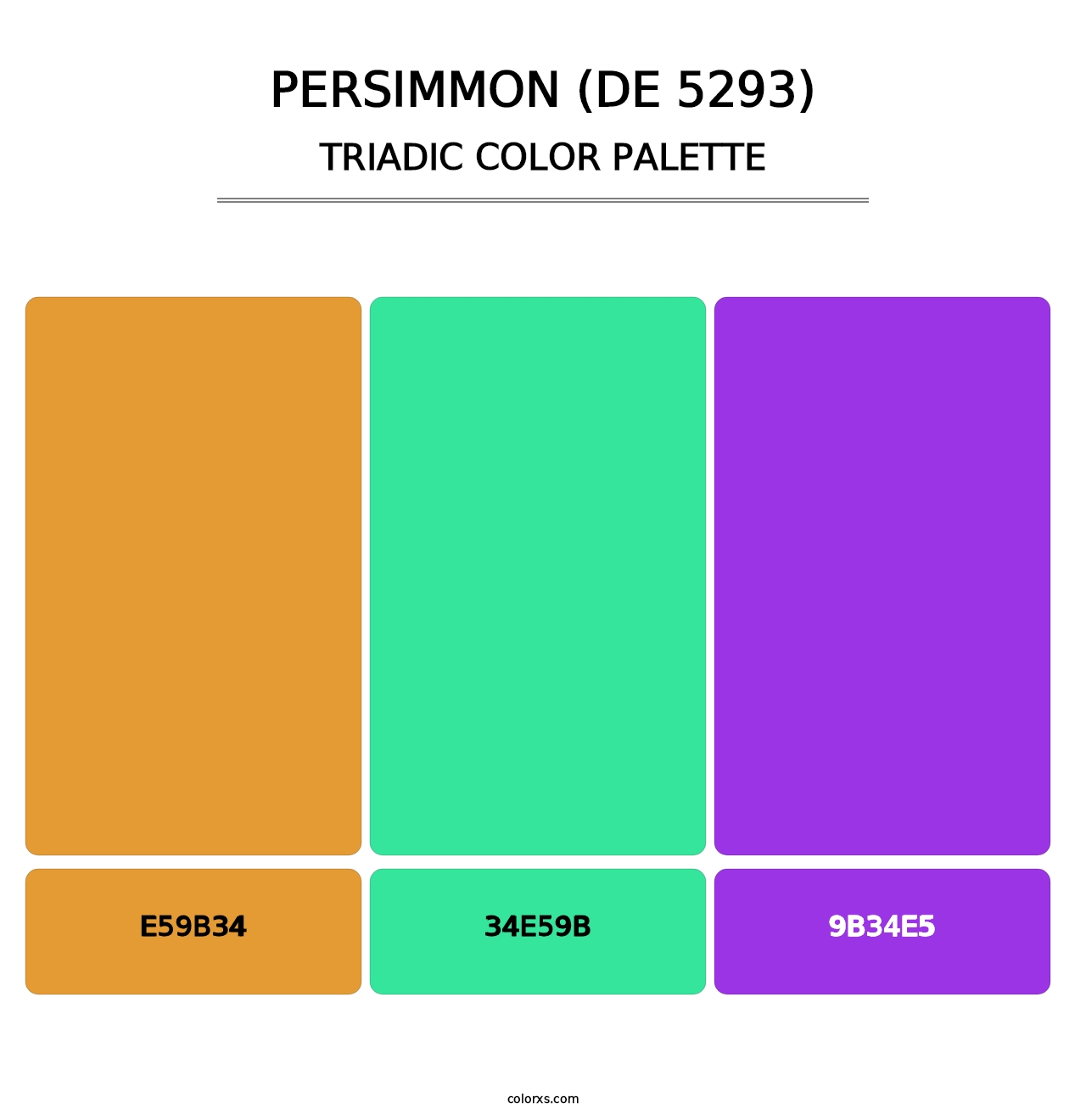 Persimmon (DE 5293) - Triadic Color Palette