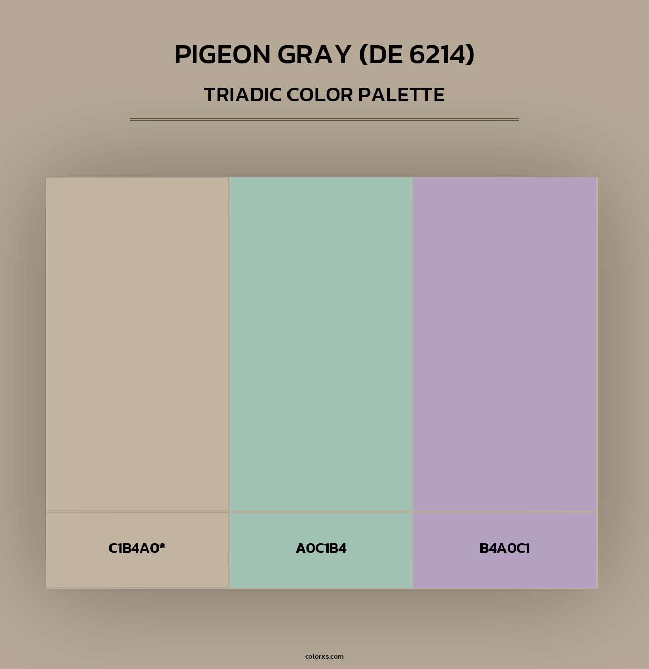 Pigeon Gray (DE 6214) - Triadic Color Palette