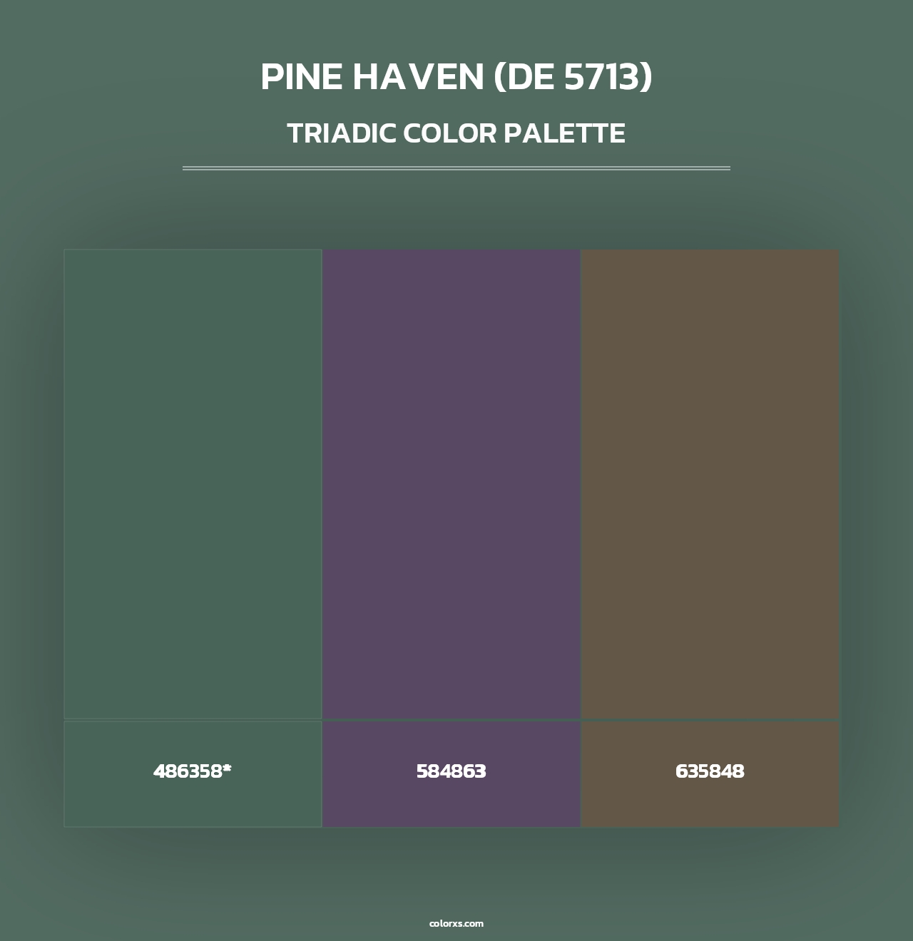 Pine Haven (DE 5713) - Triadic Color Palette