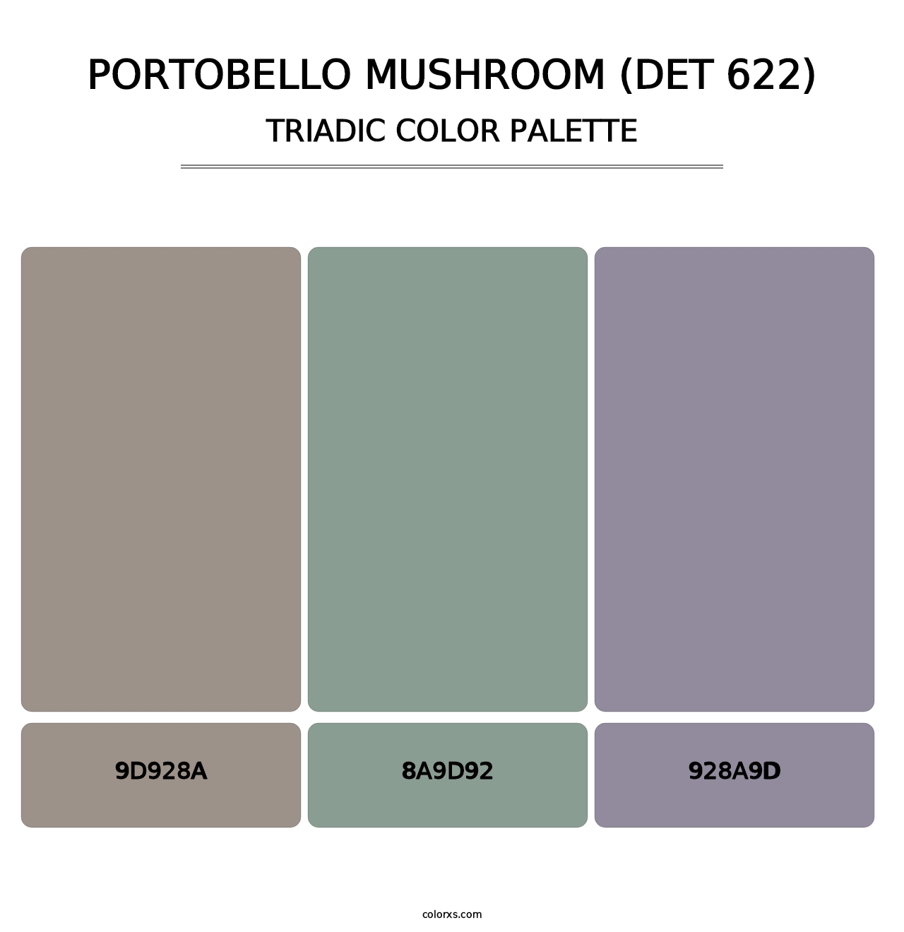 Portobello Mushroom (DET 622) - Triadic Color Palette