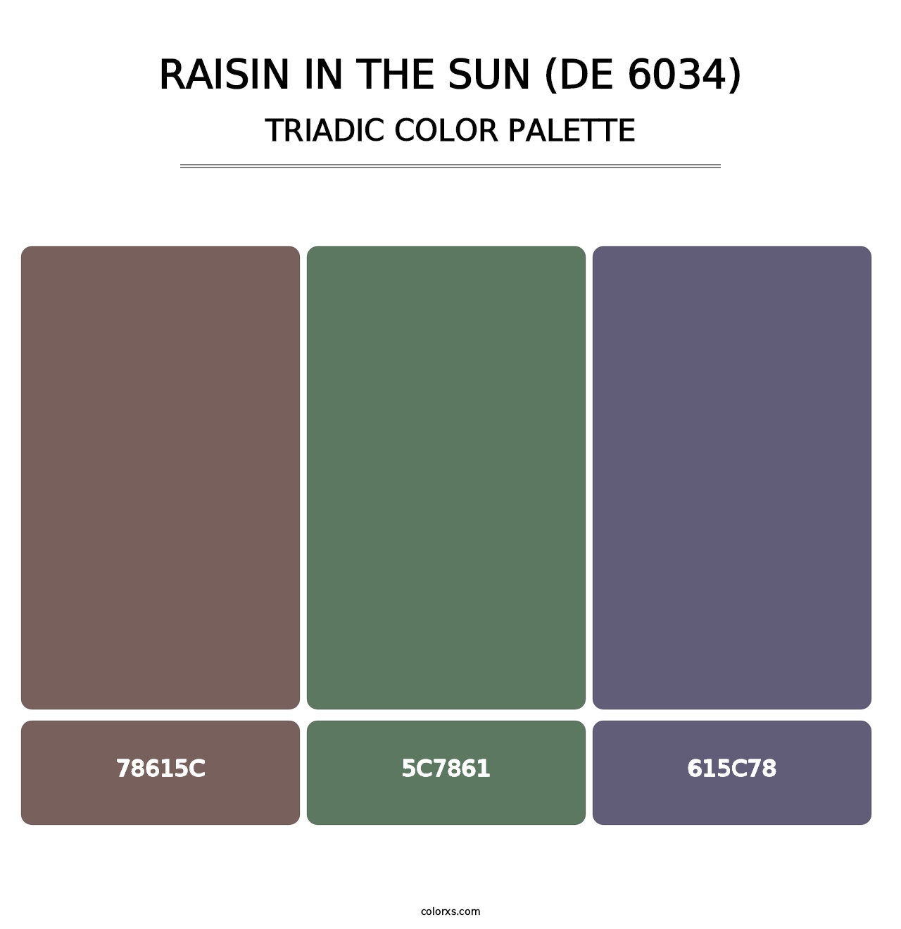 Raisin in the Sun (DE 6034) - Triadic Color Palette