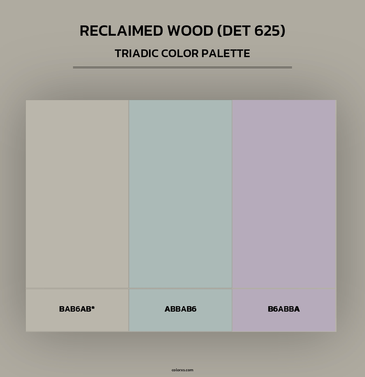 Reclaimed Wood (DET 625) - Triadic Color Palette