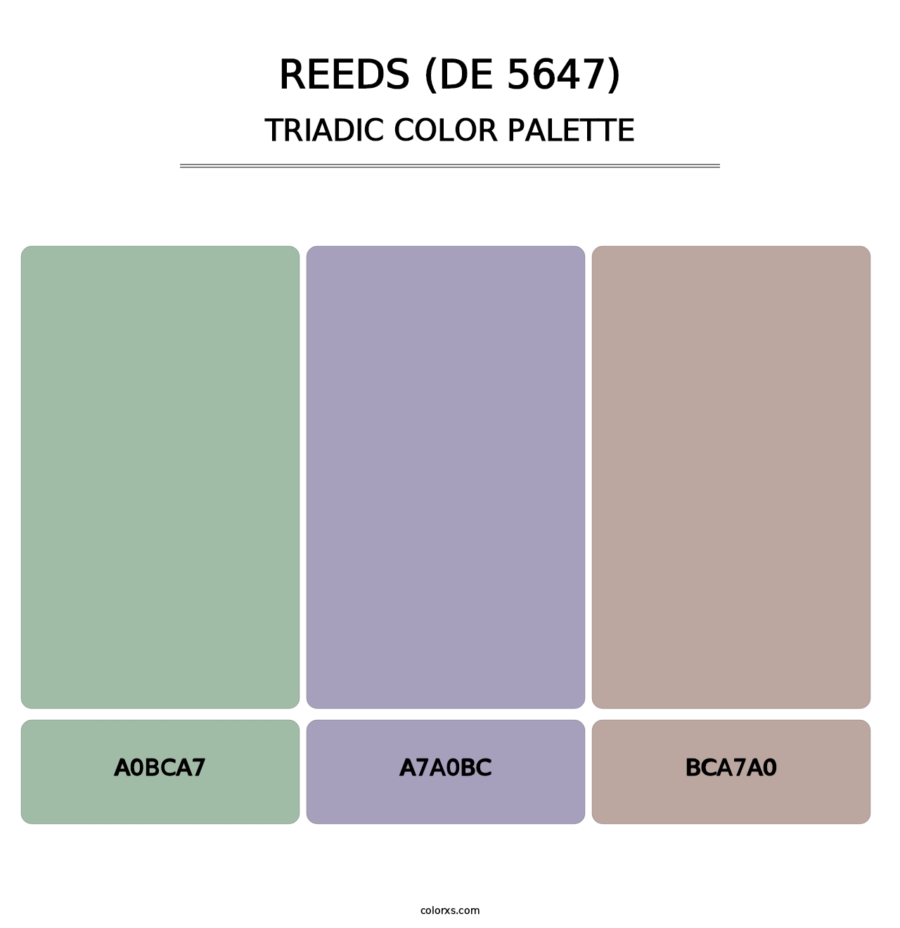 Reeds (DE 5647) - Triadic Color Palette